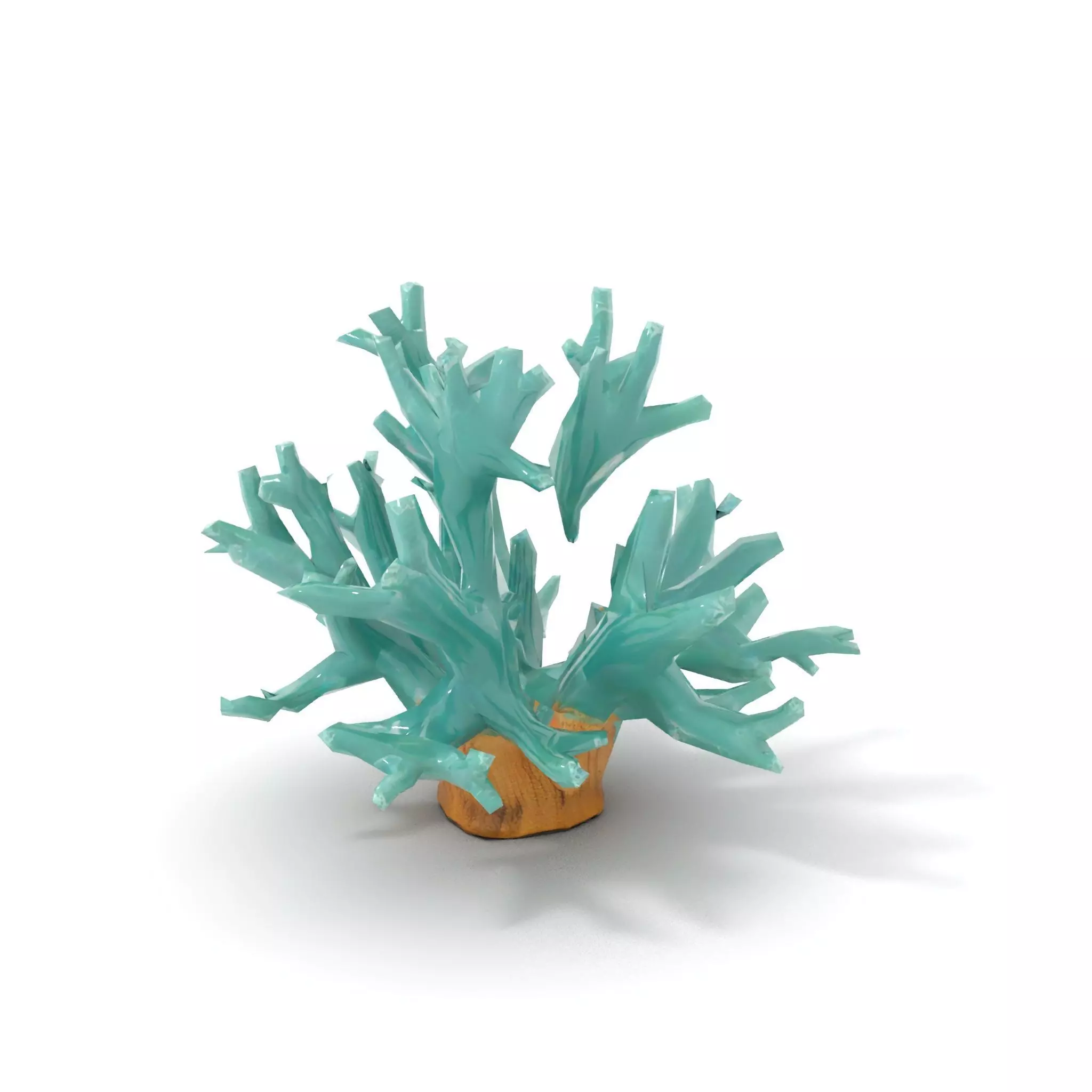 Turquoise Coral model pack Low-poly 3D model_7
