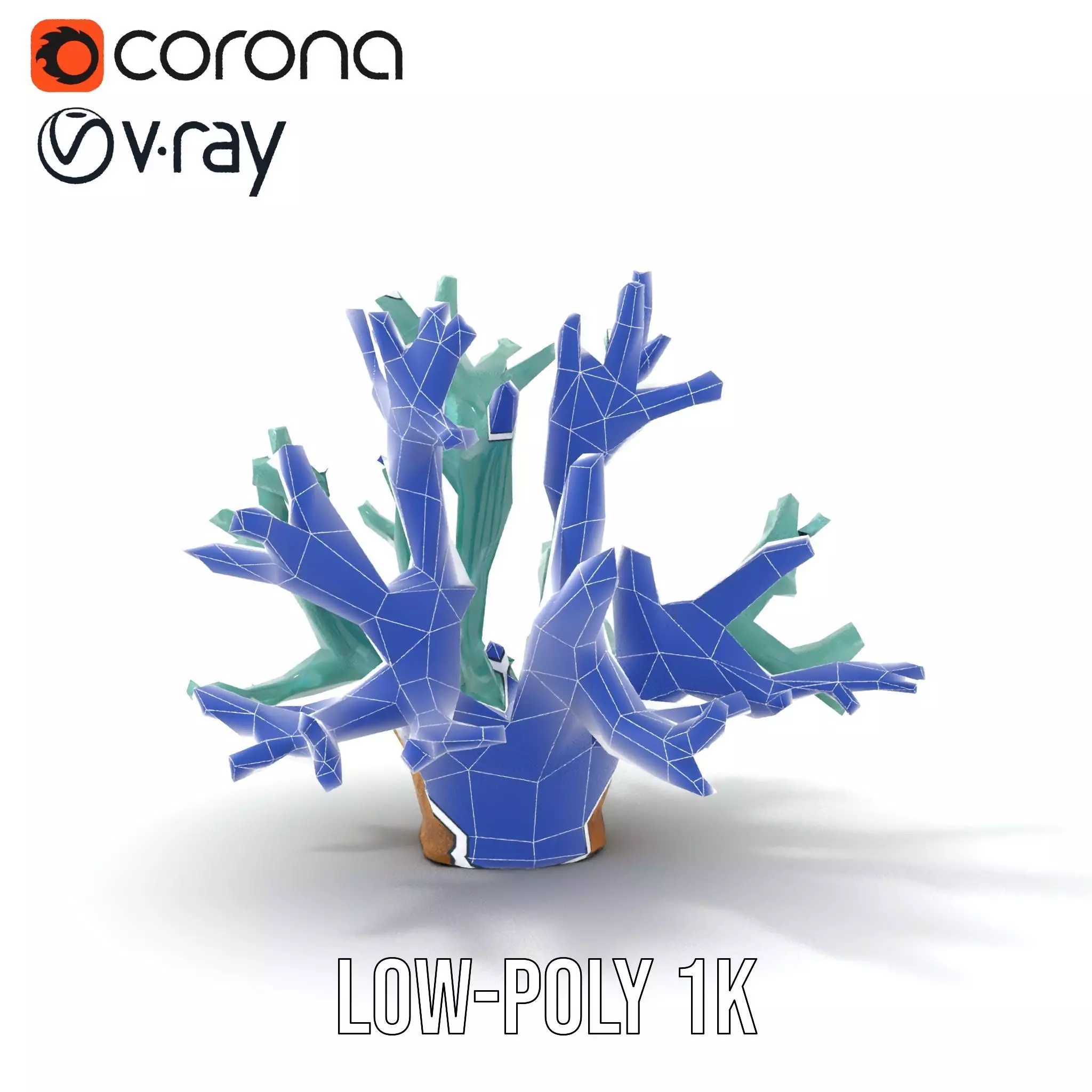 Turquoise Coral model pack Low-poly 3D model_27