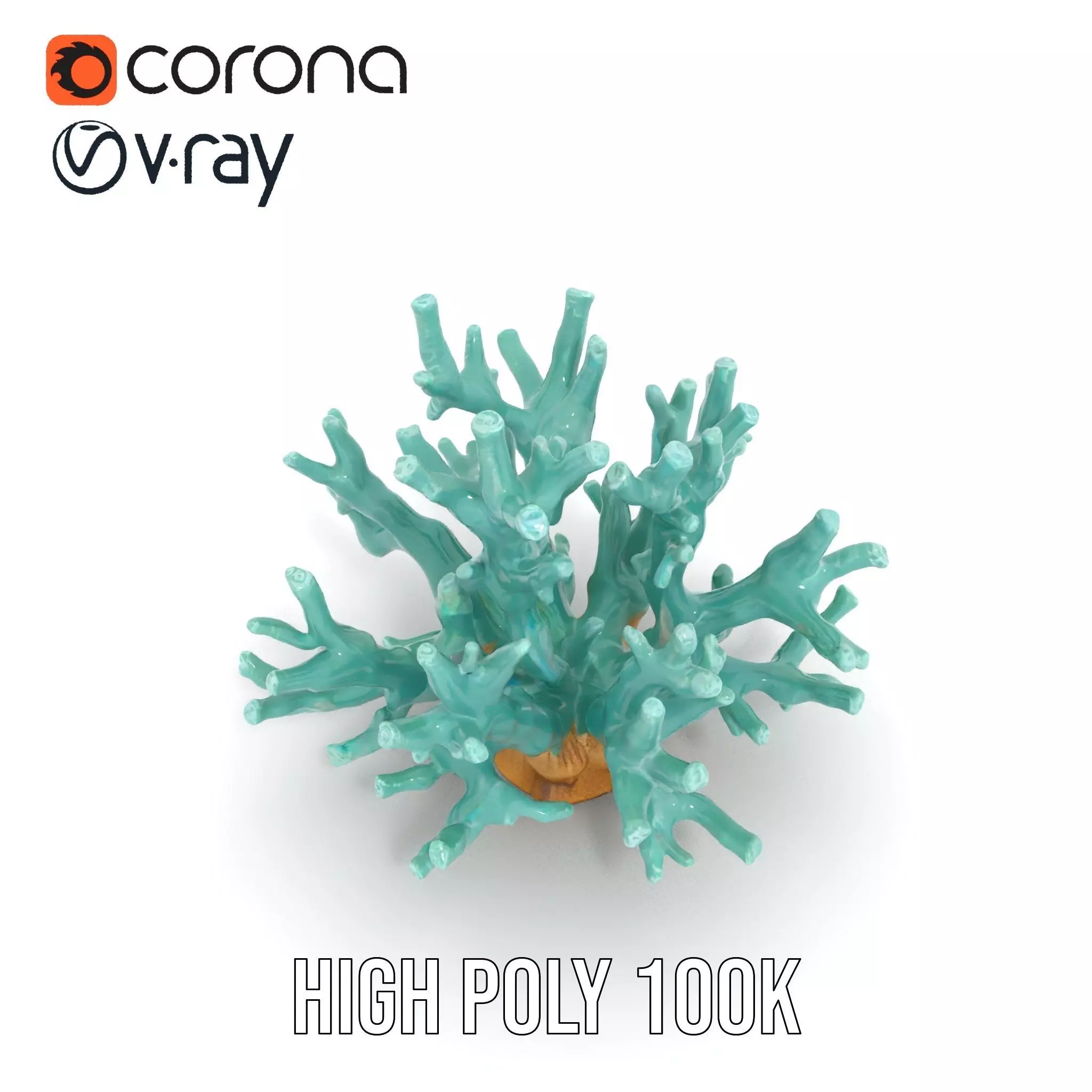 Turquoise Coral model pack Low-poly 3D model_23