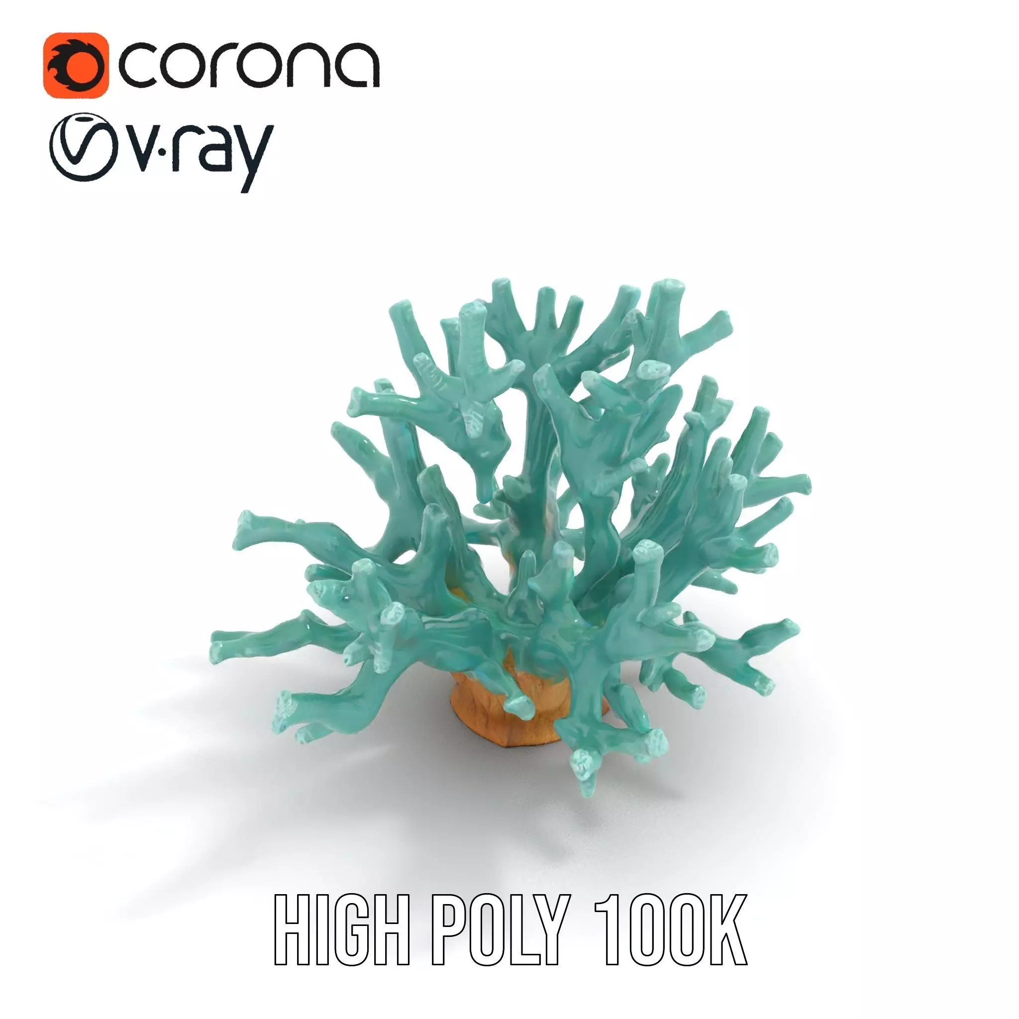 Turquoise Coral model pack Low-poly 3D model_17