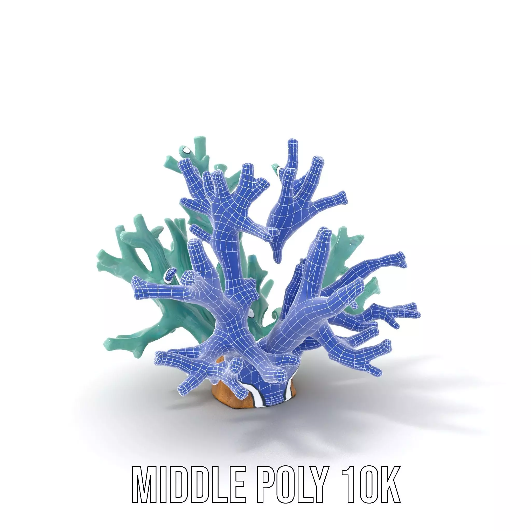 Turquoise Coral model pack Low-poly 3D model_15