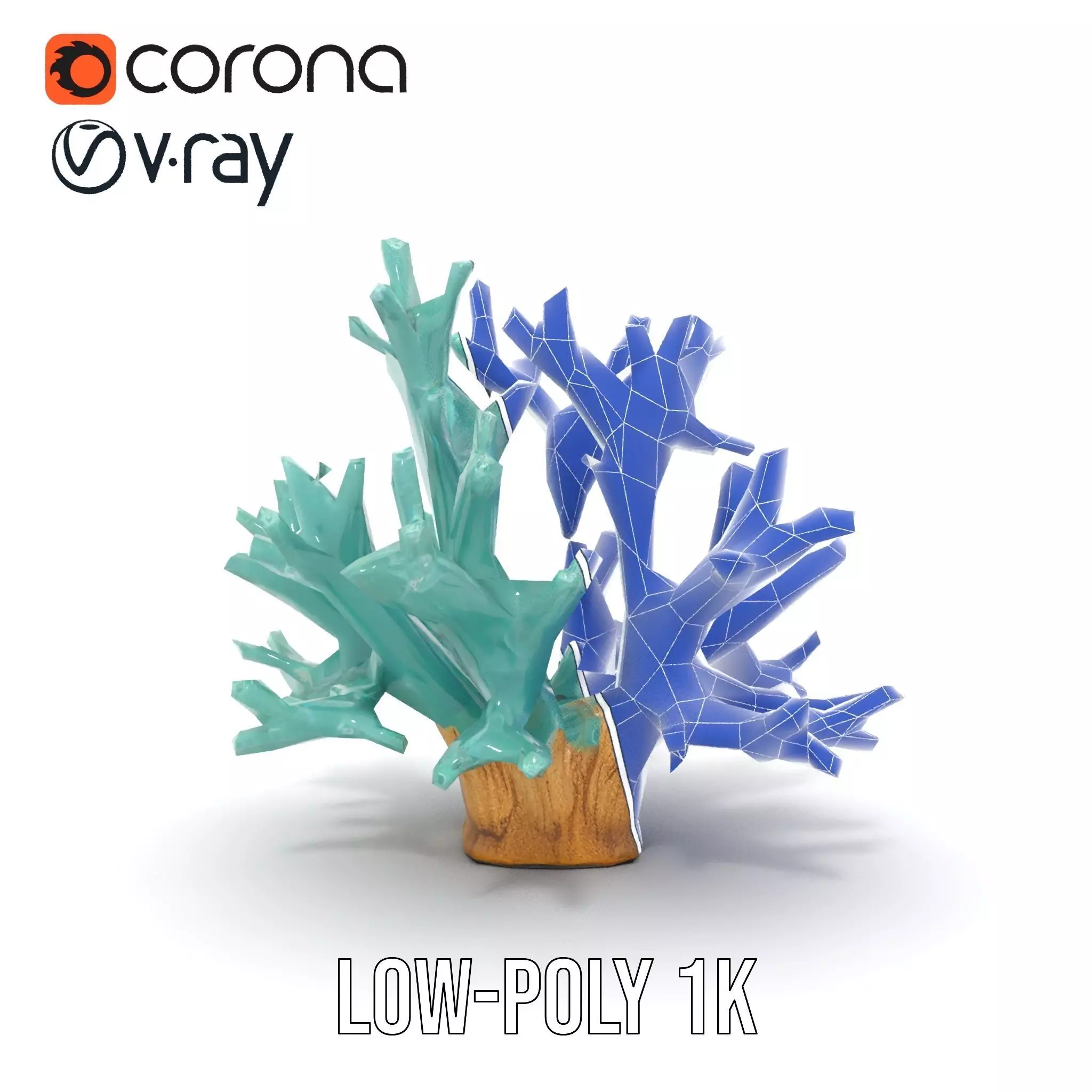 Turquoise Coral model pack Low-poly 3D model_25