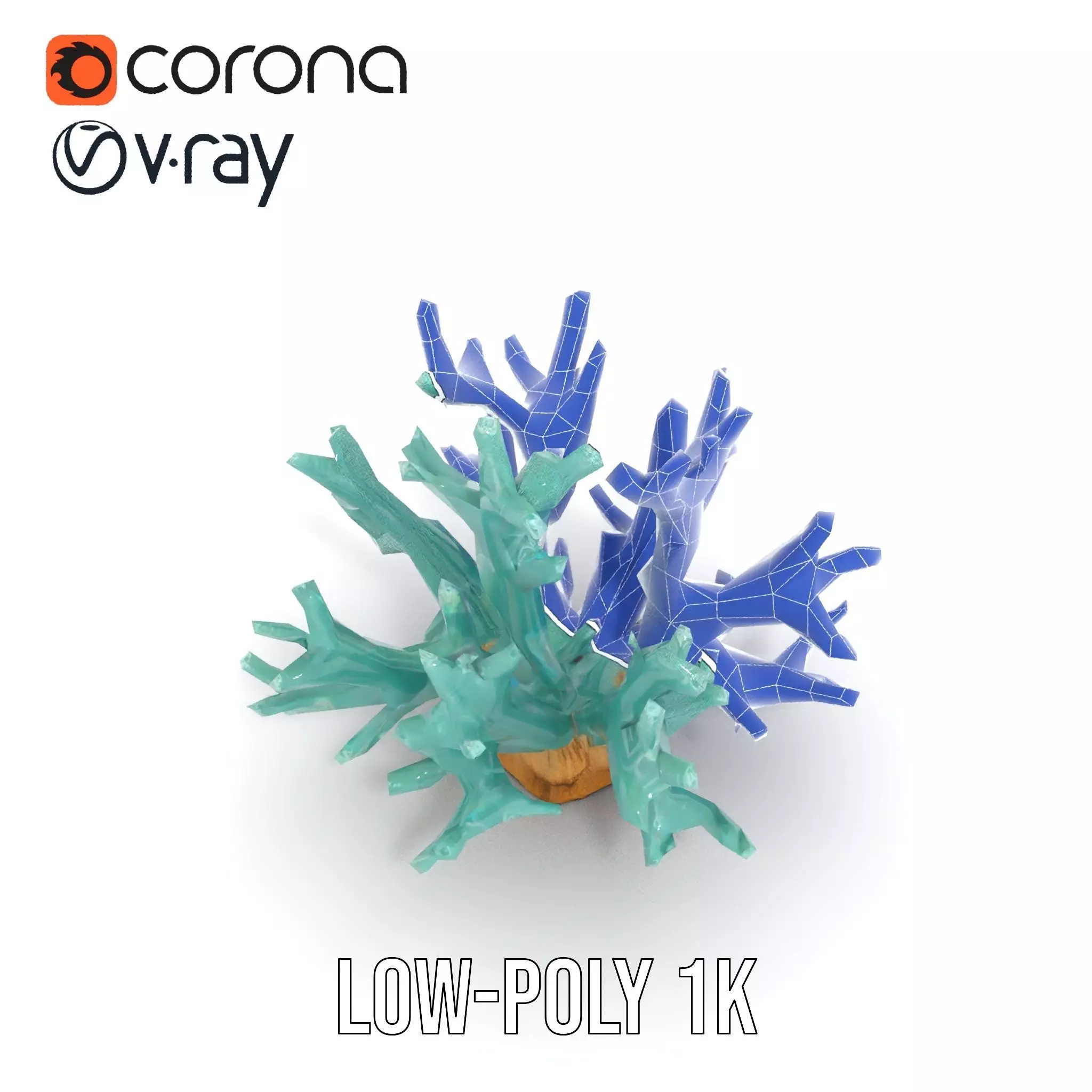 Turquoise Coral model pack Low-poly 3D model_30