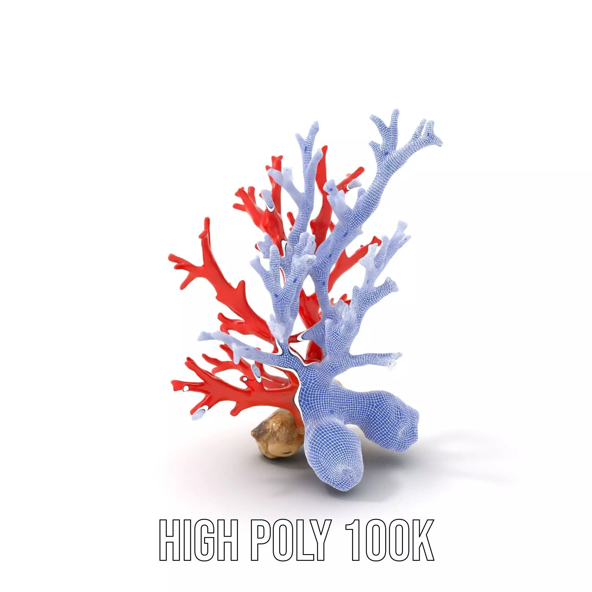 Red Coral Reef model pack Low-poly 3D model_4