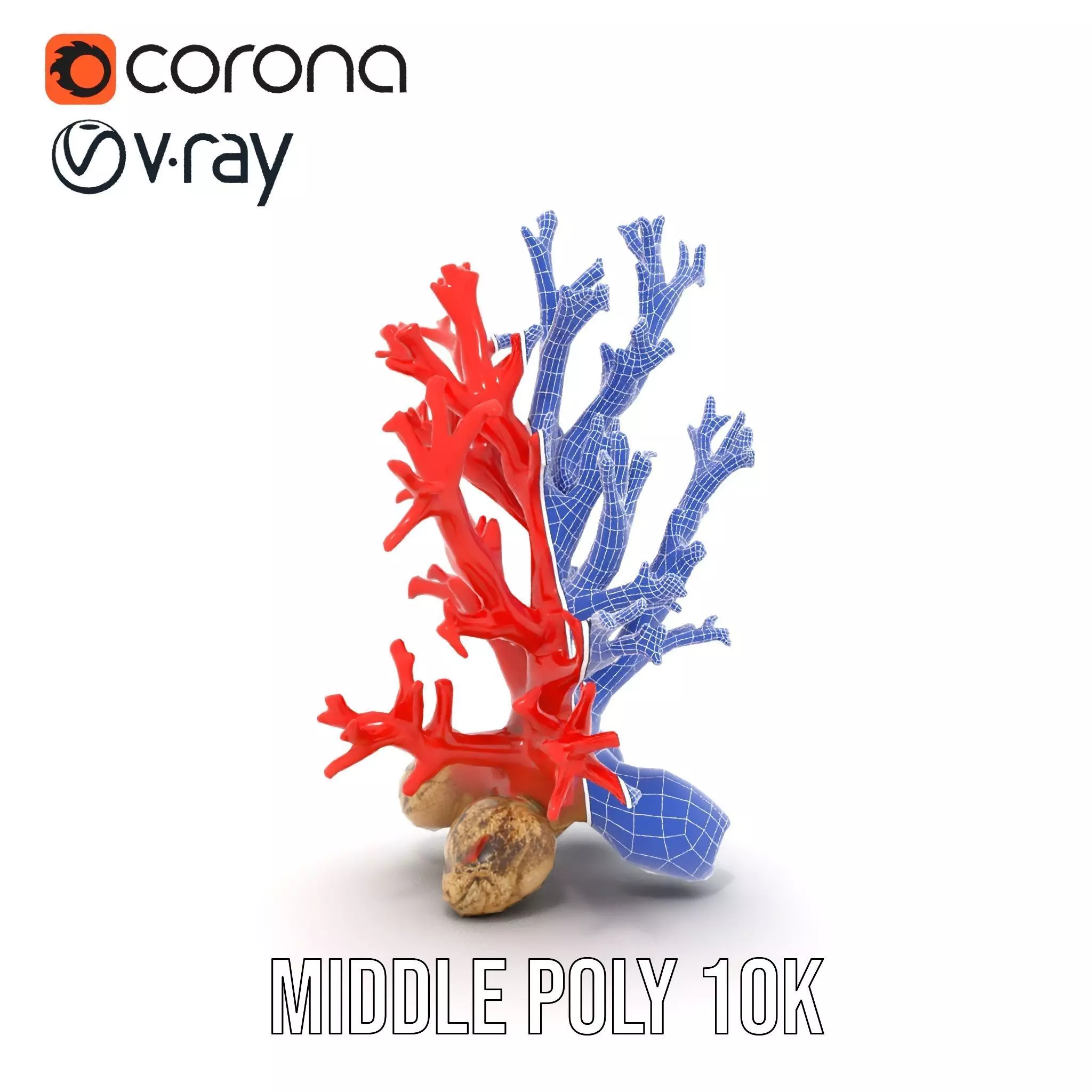 Red Coral Reef model pack Low-poly 3D model_26