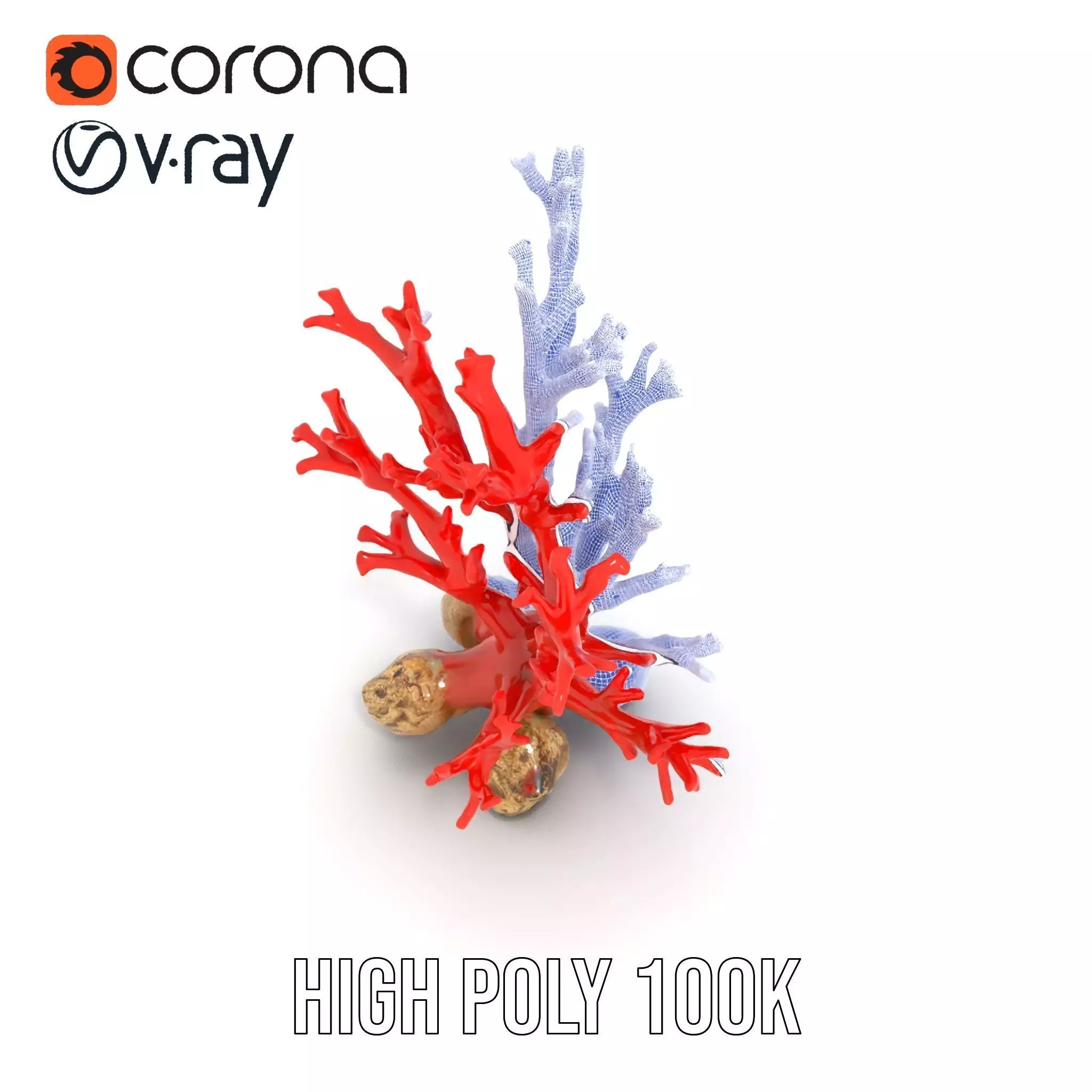 Red Coral Reef model pack Low-poly 3D model_33
