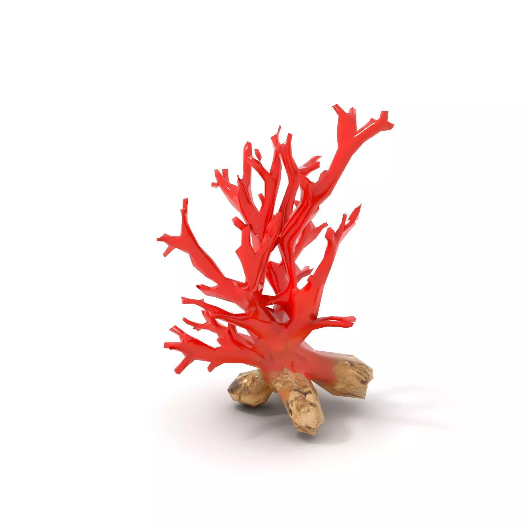 Red Coral Reef model pack Low-poly 3D model_14