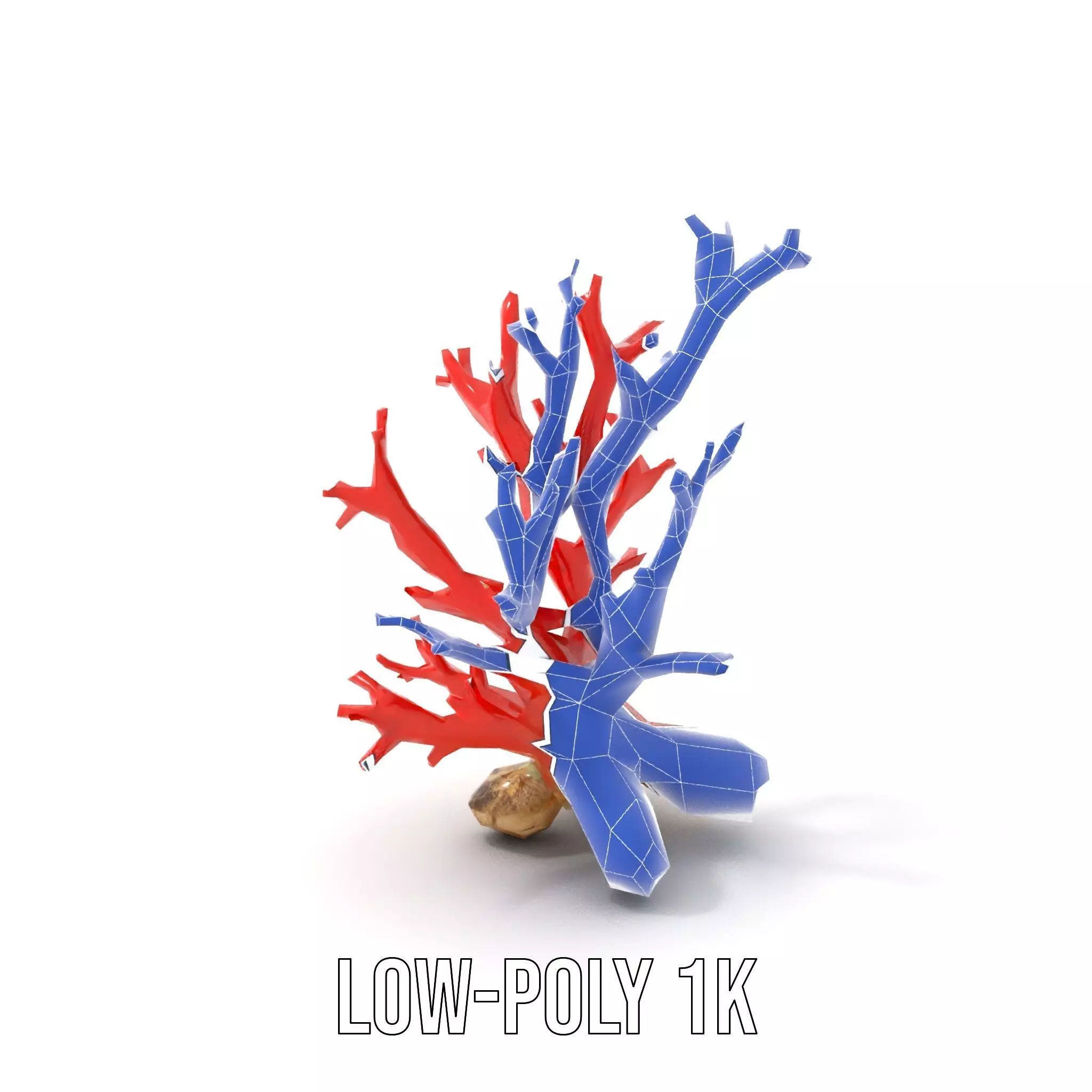 Red Coral Reef model pack Low-poly 3D model_27