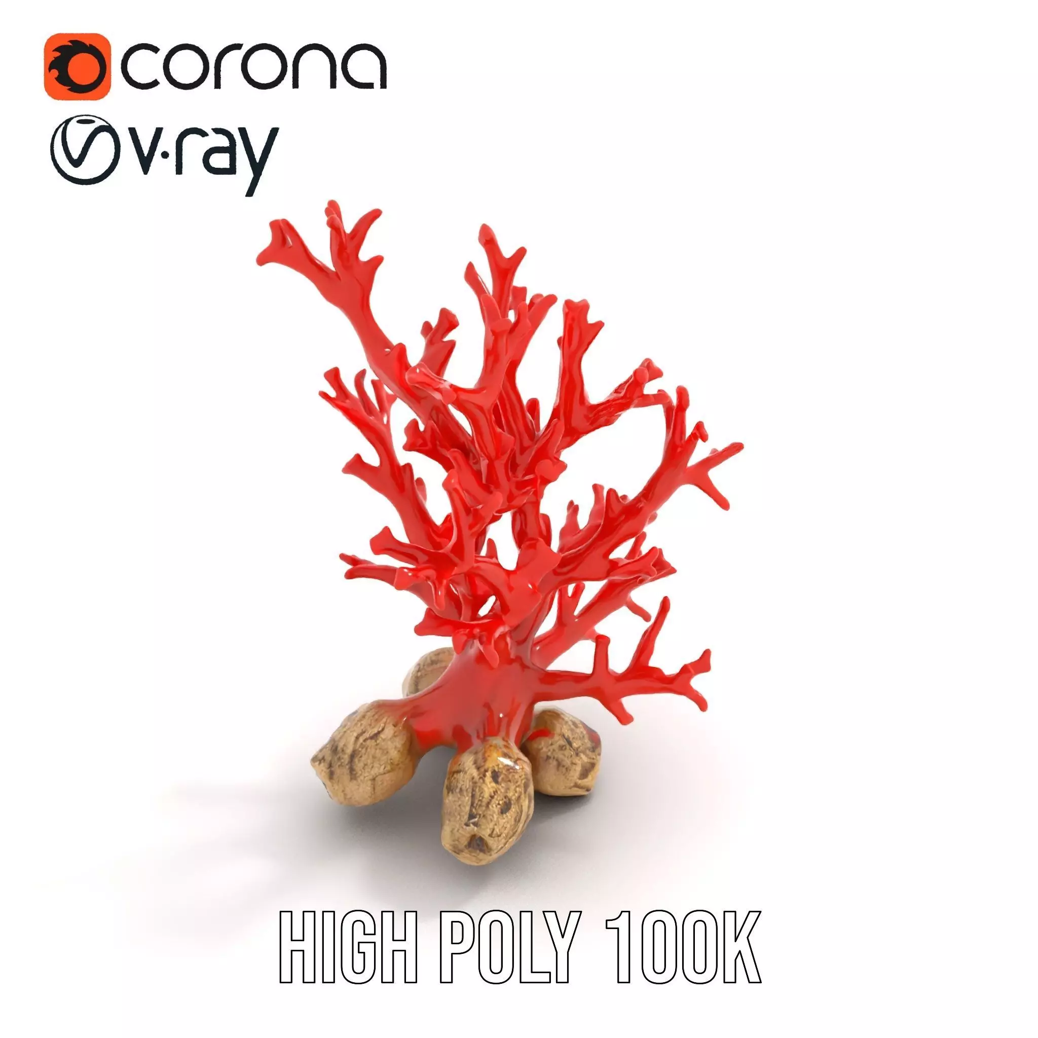 Red Coral Reef model pack Low-poly 3D model_28
