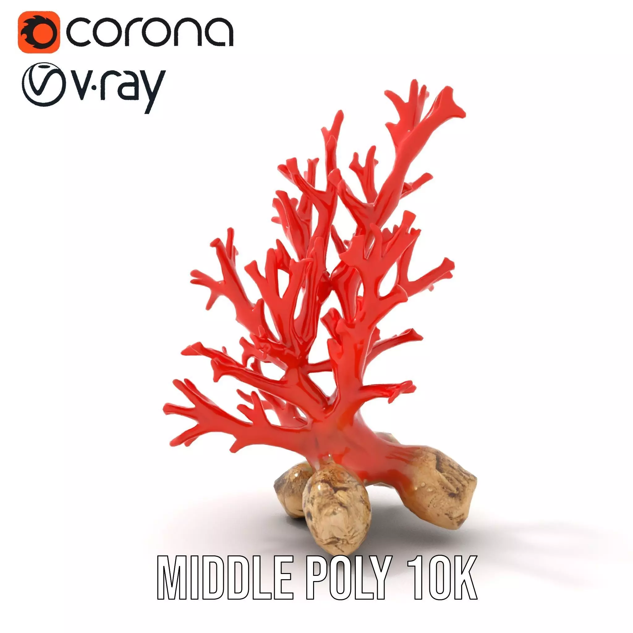 Red Coral Reef model pack Low-poly 3D model_15