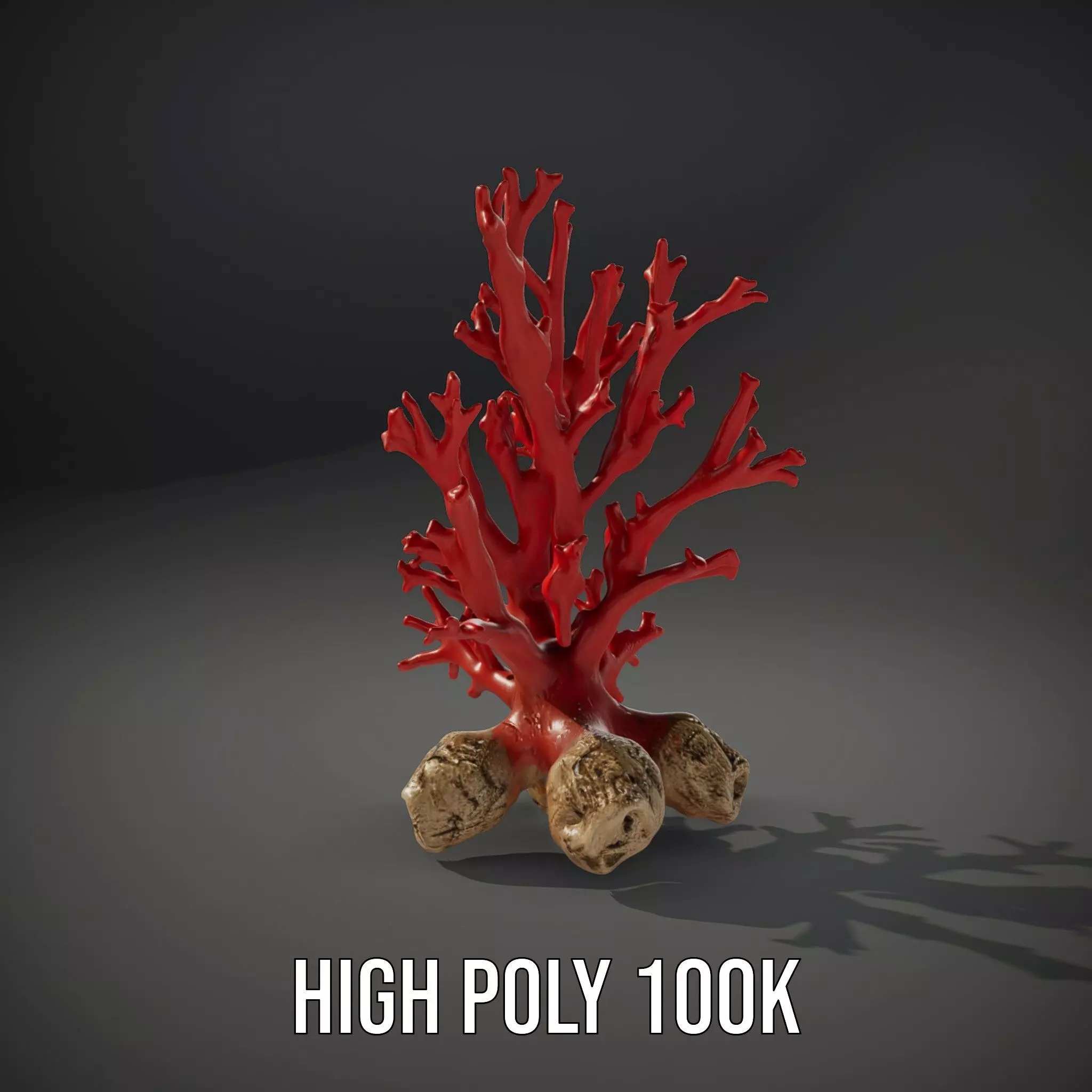 Red Coral Reef model pack Low-poly 3D model_10