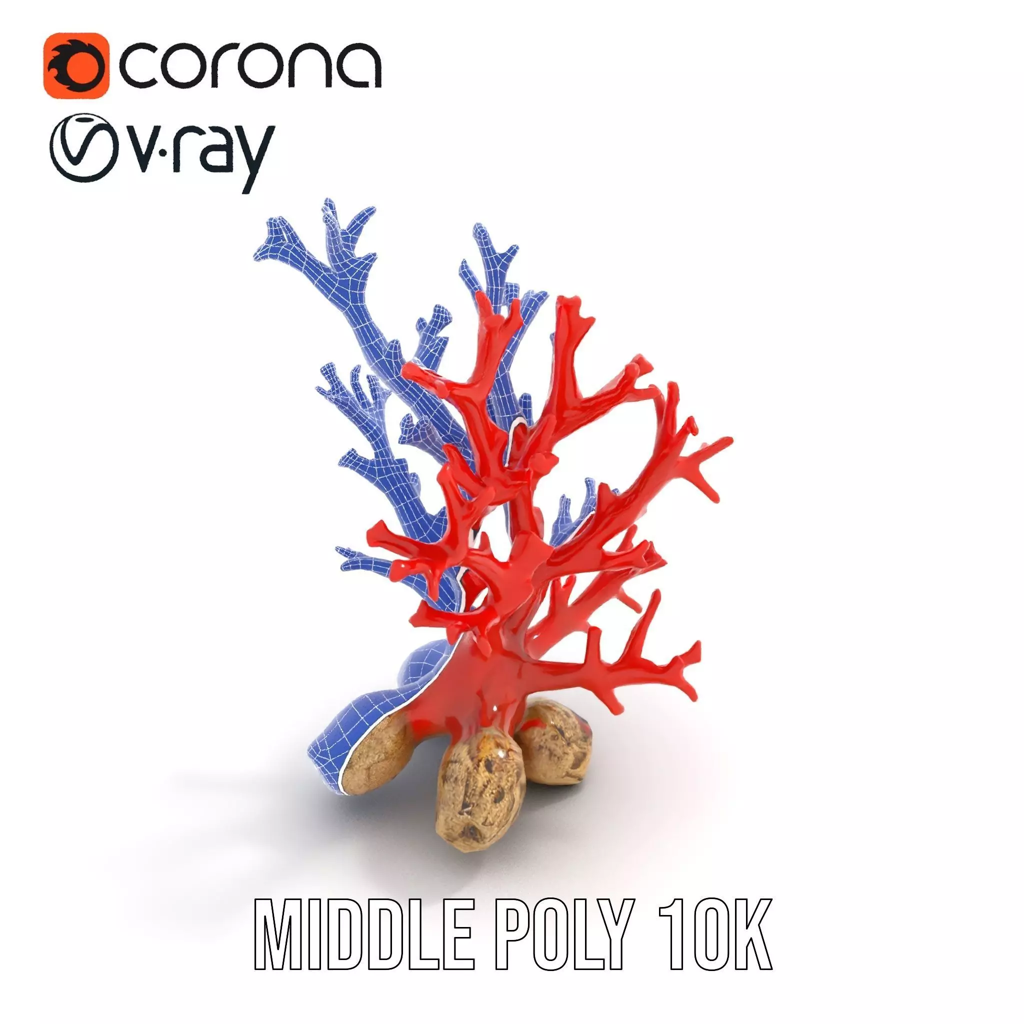 Red Coral Reef model pack Low-poly 3D model_11