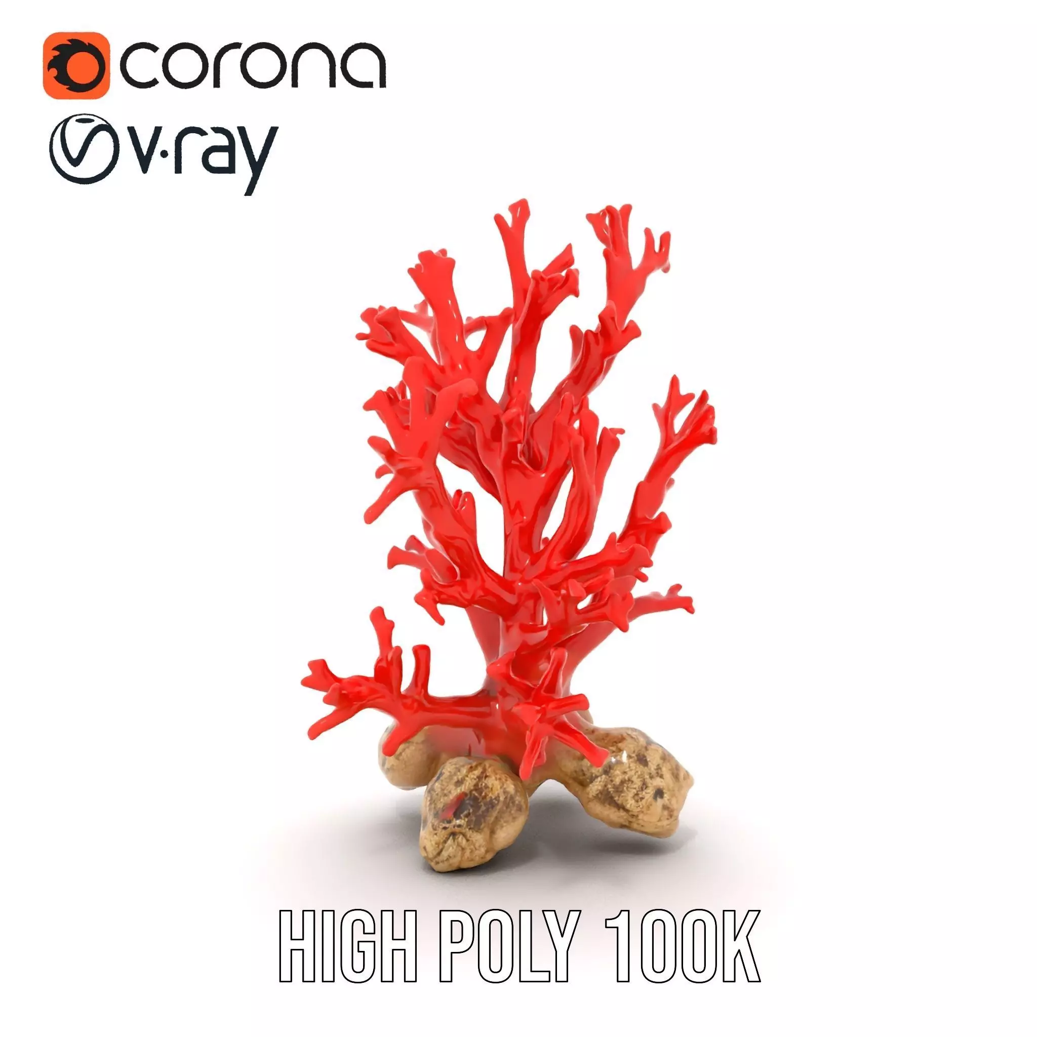 Red Coral Reef model pack Low-poly 3D model_22