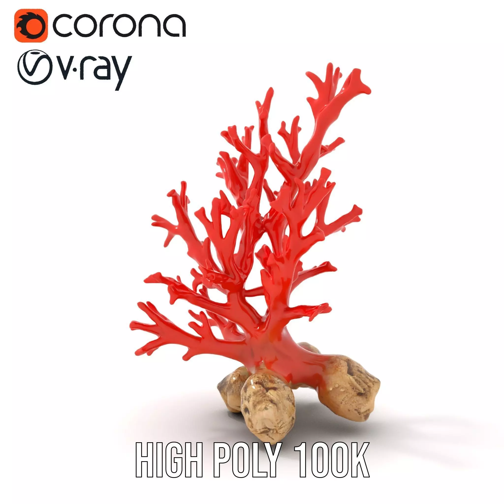 Red Coral Reef model pack Low-poly 3D model_25