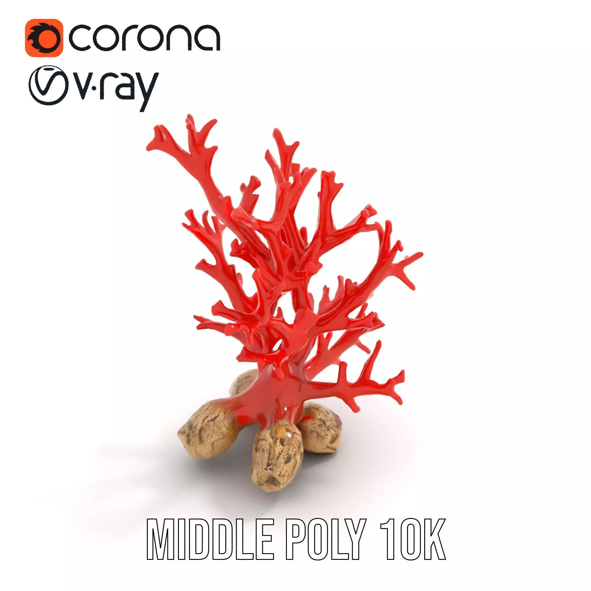 Red Coral Reef model pack Low-poly 3D model_20