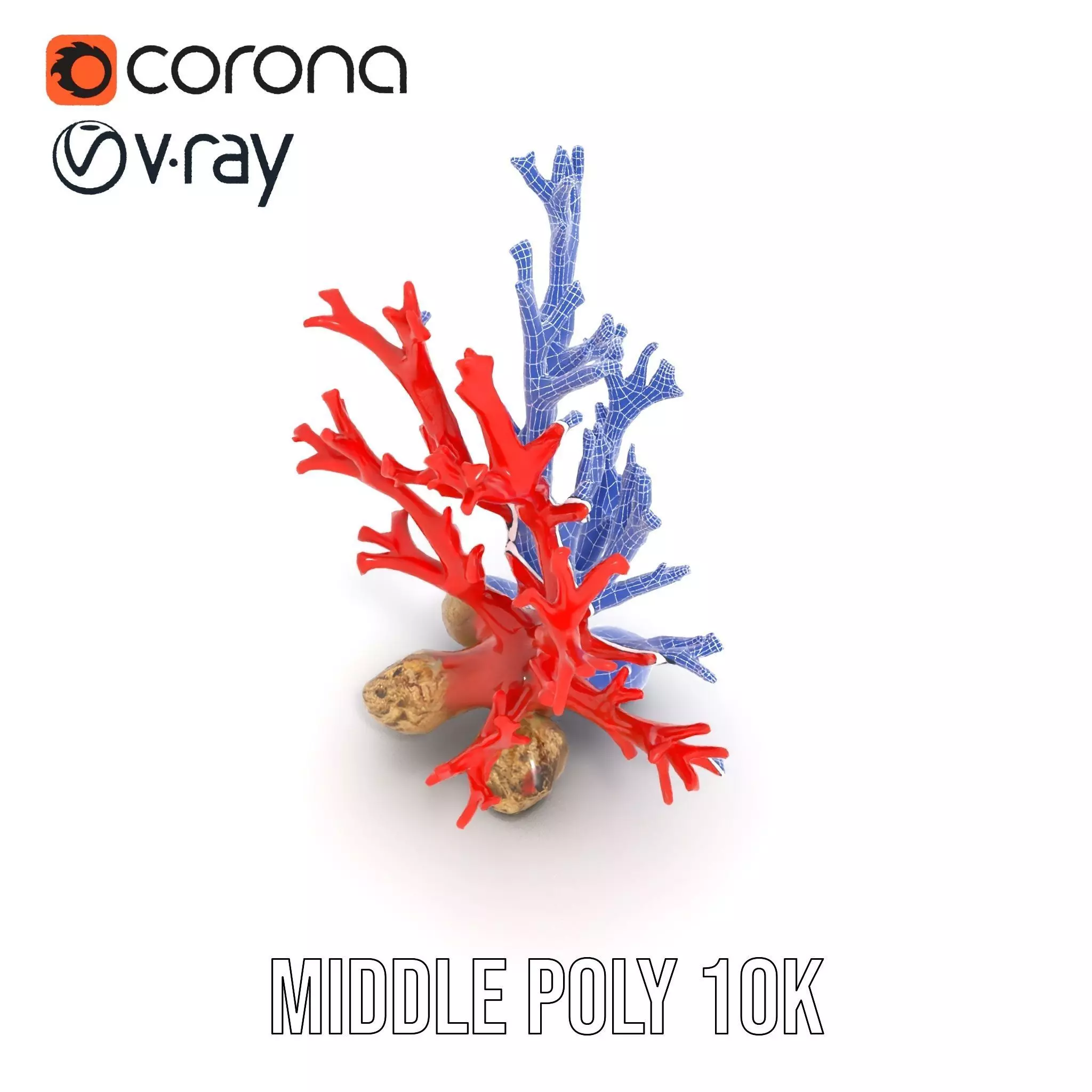 Red Coral Reef model pack Low-poly 3D model_5