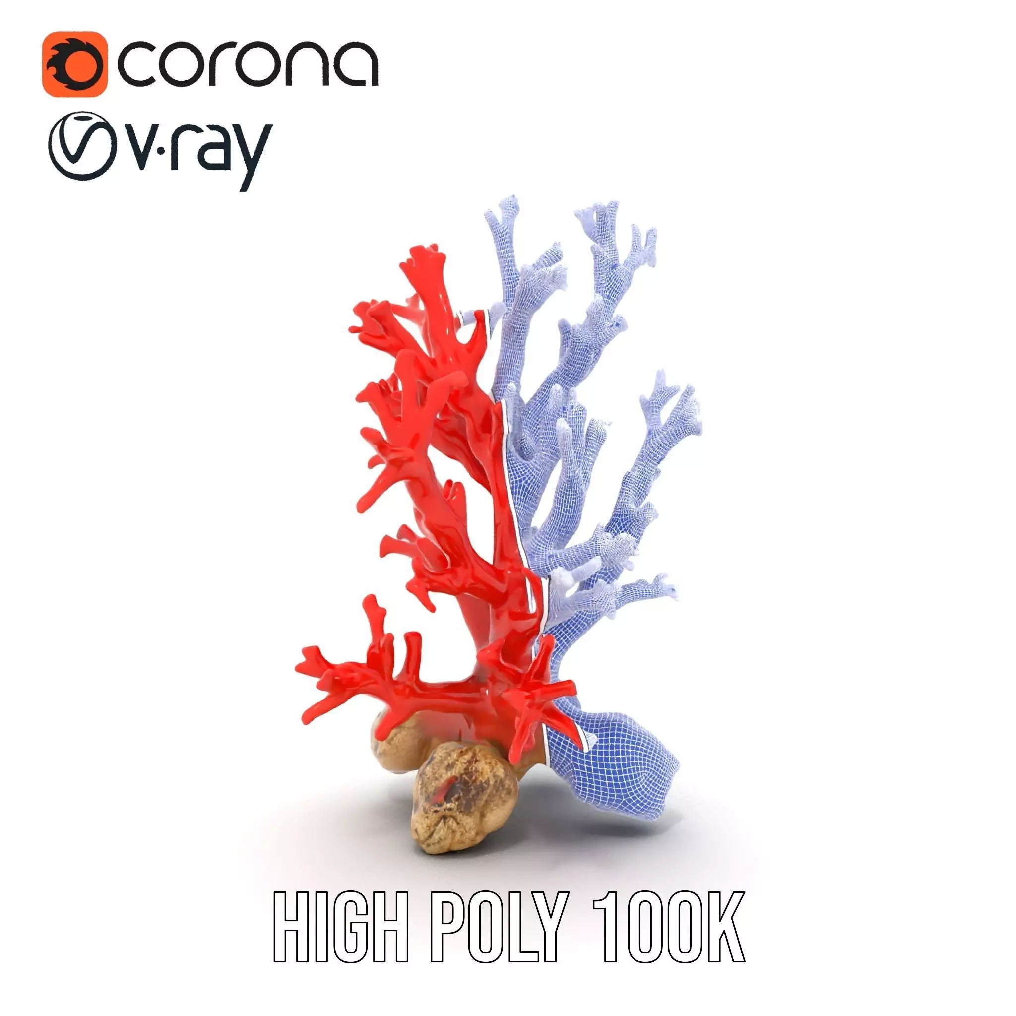 Red Coral Reef model pack Low-poly 3D model_32
