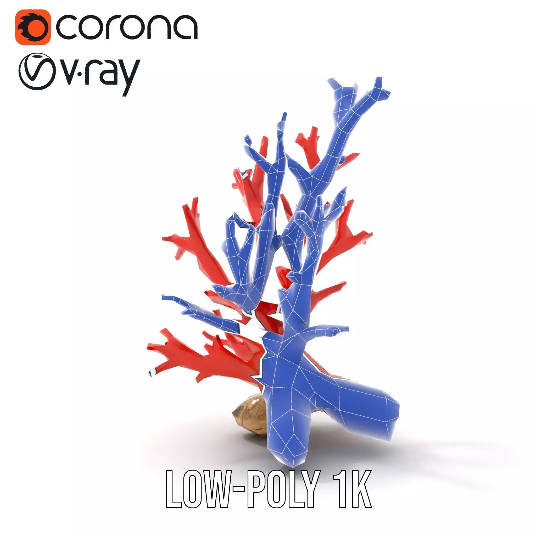 Red Coral Reef model pack Low-poly 3D model_24
