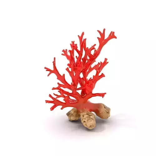 Red Coral Reef model pack Low-poly 3D model