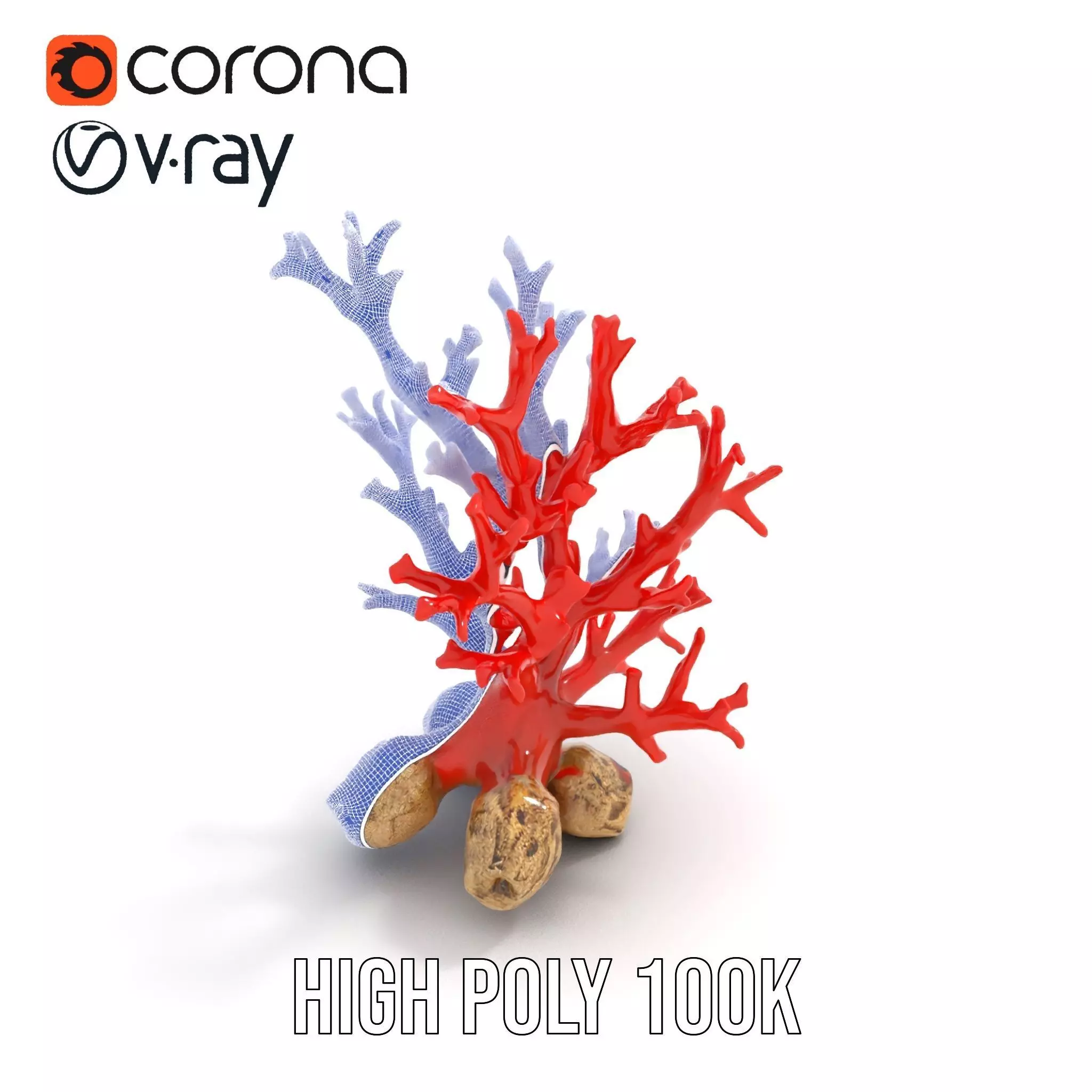 Red Coral Reef model pack Low-poly 3D model_31