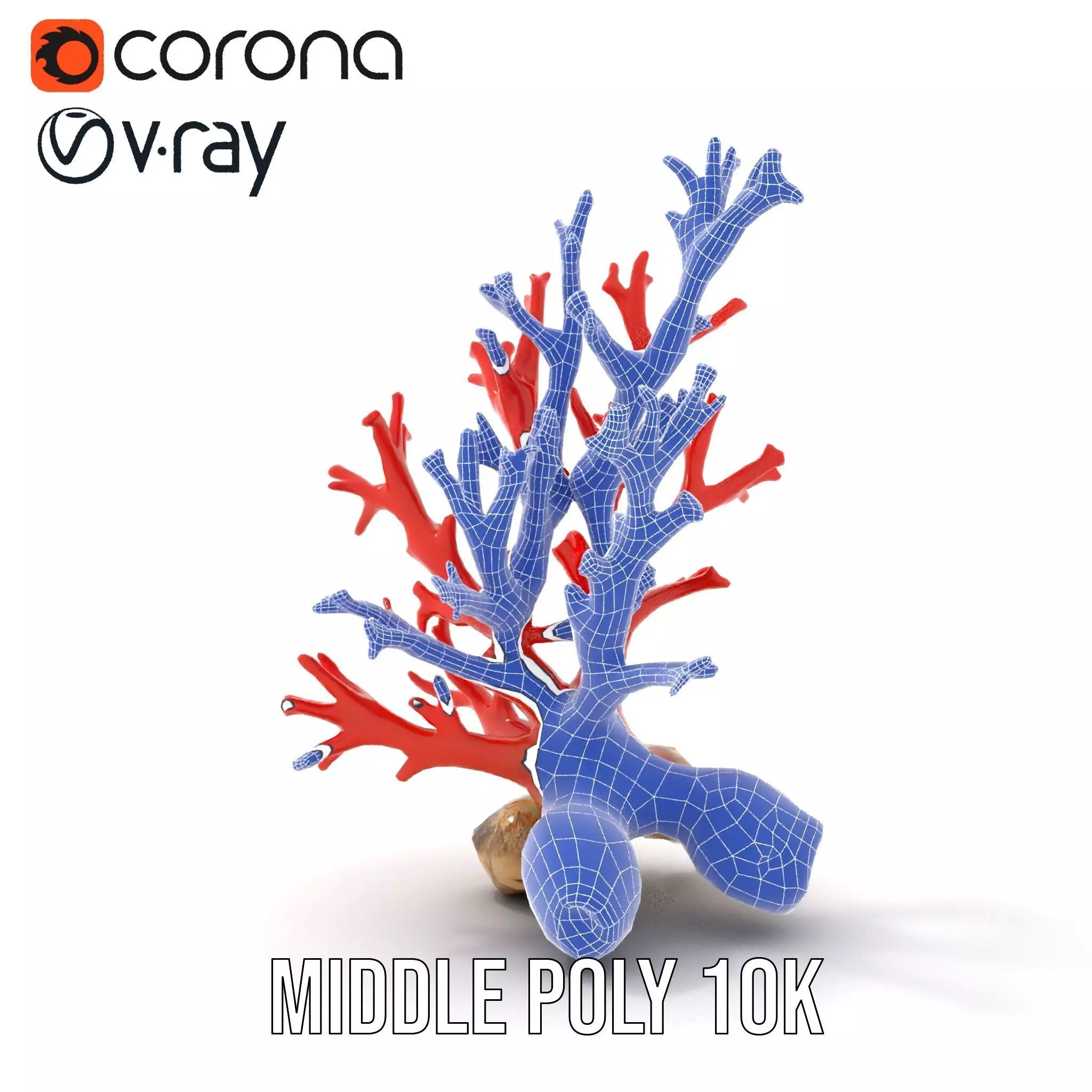 Red Coral Reef model pack Low-poly 3D model_17