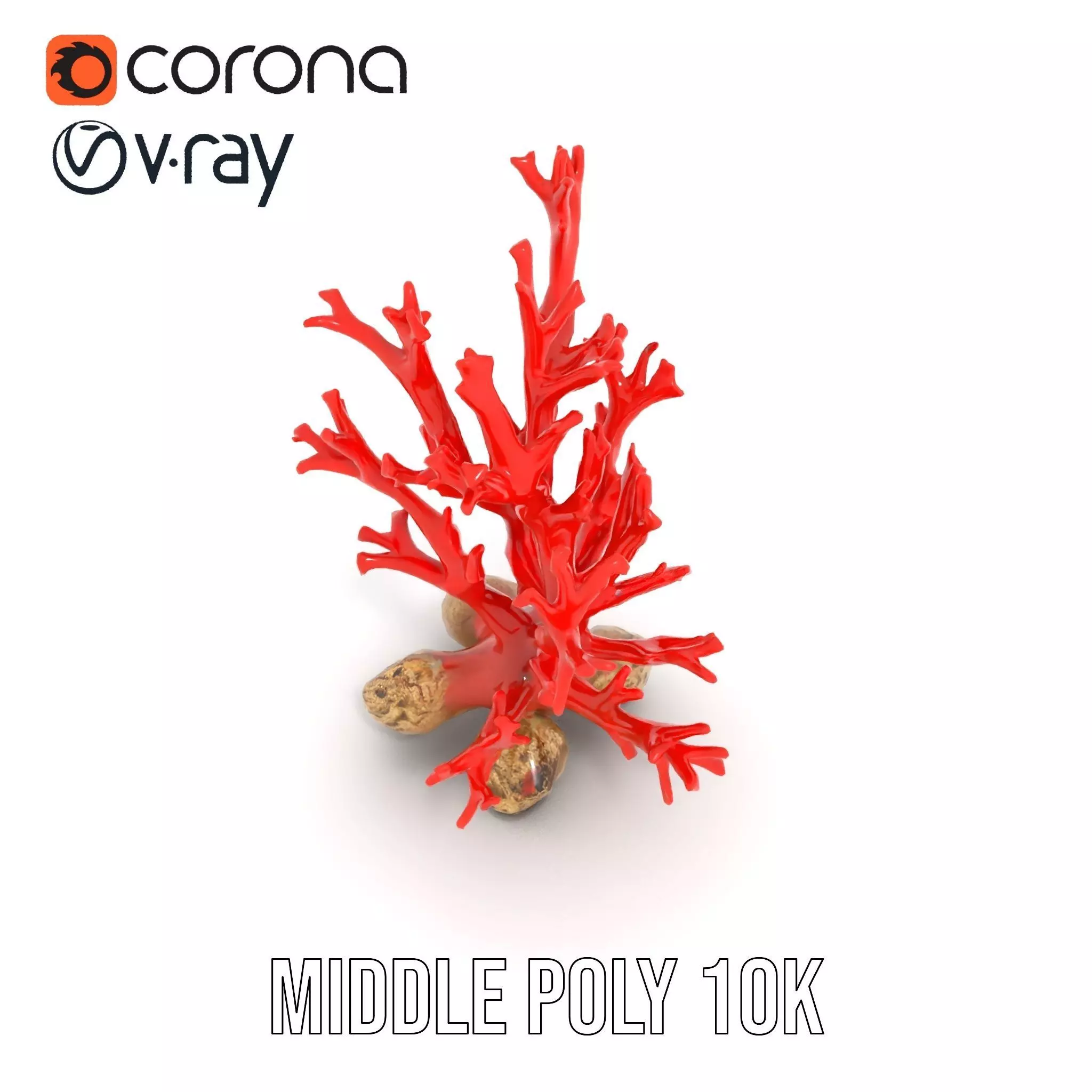 Red Coral Reef model pack Low-poly 3D model_23