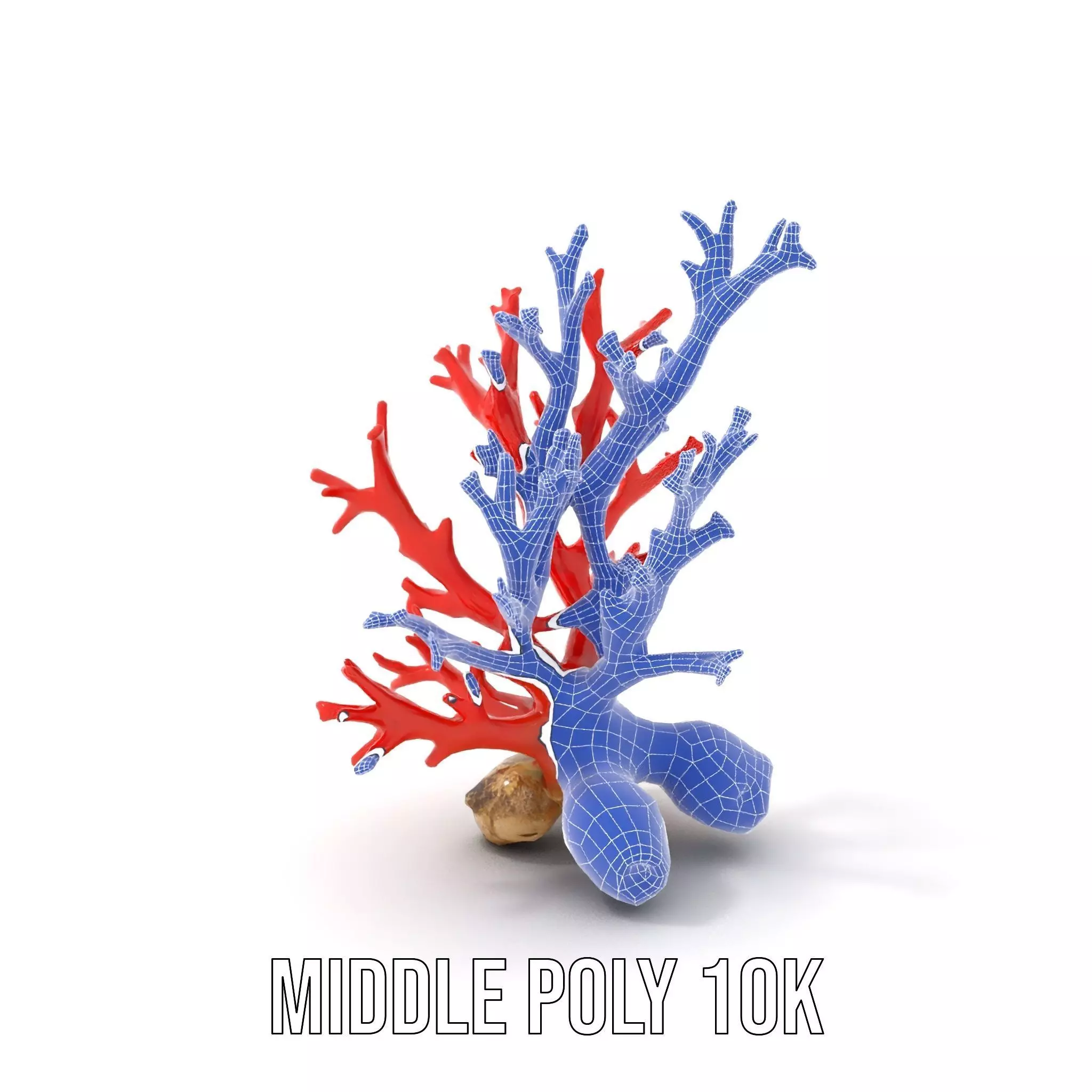 Red Coral Reef model pack Low-poly 3D model_29