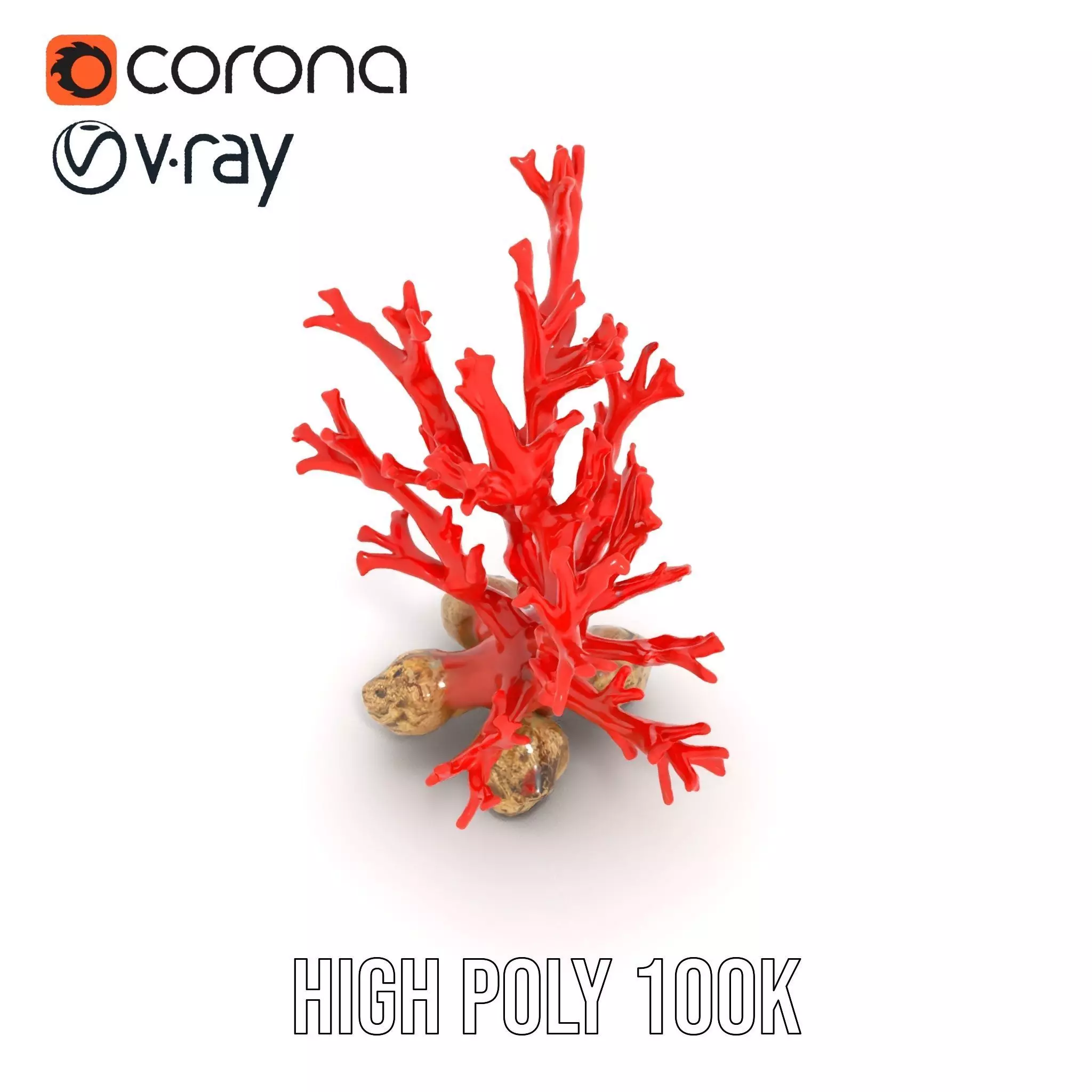 Red Coral Reef model pack Low-poly 3D model_19