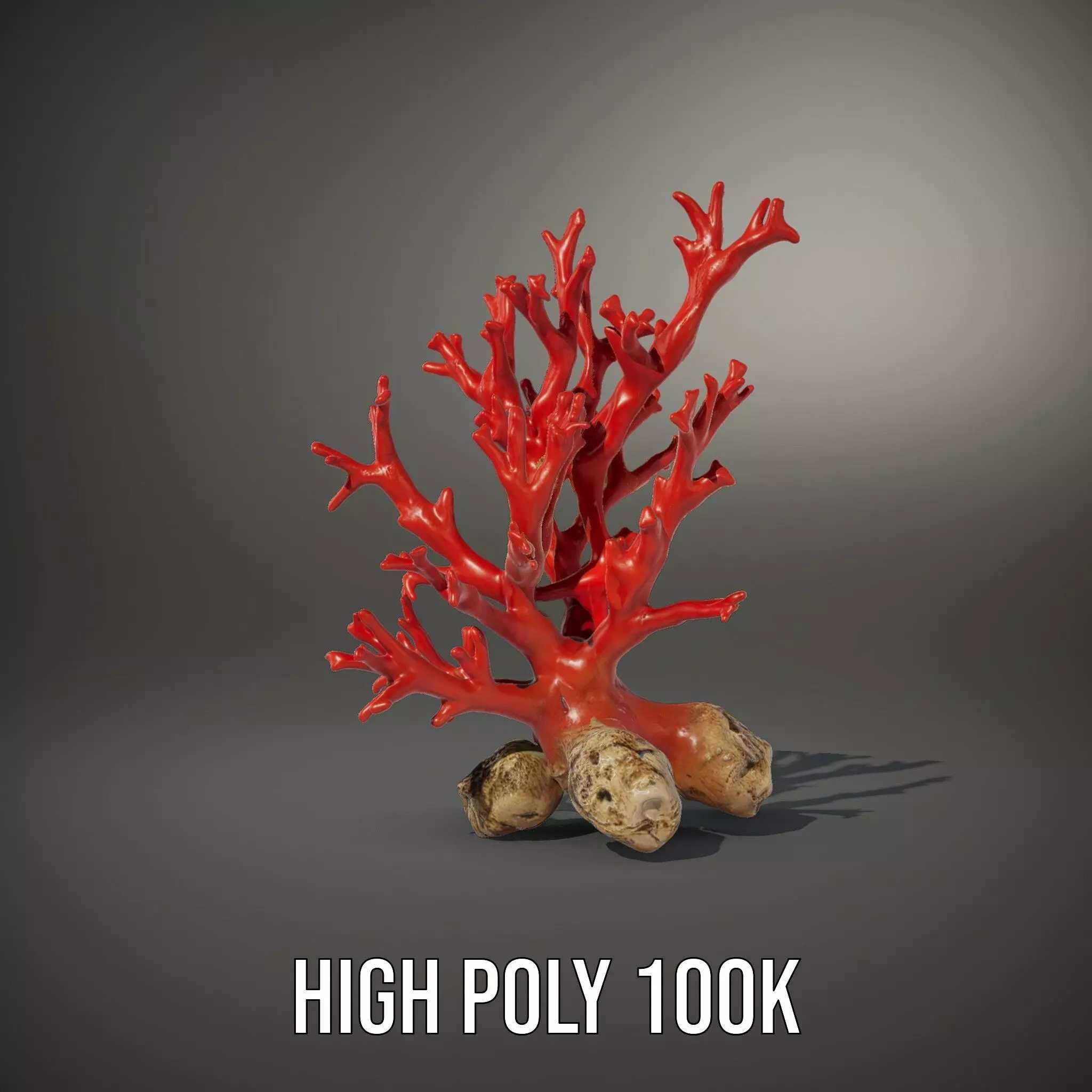 Red Coral Reef model pack Low-poly 3D model_8