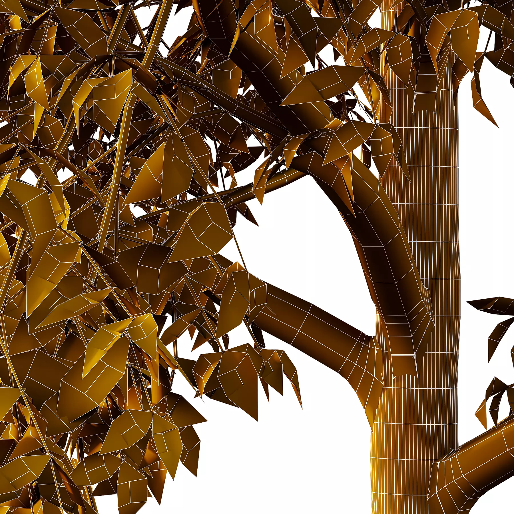 Celtis australis Tree 08 3D model_5