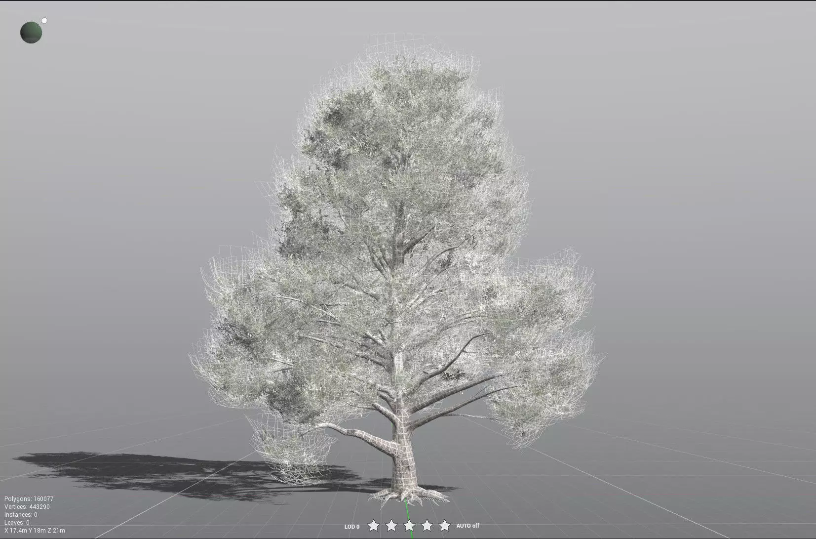 EVERYPlant Single-Leaf Pinyon 3D model_32