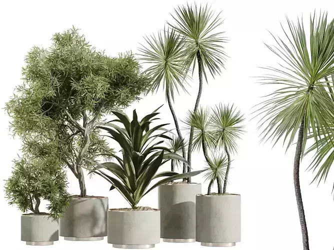 AV Indoor Plants Set 328 Olive Yucca Palm Lemon