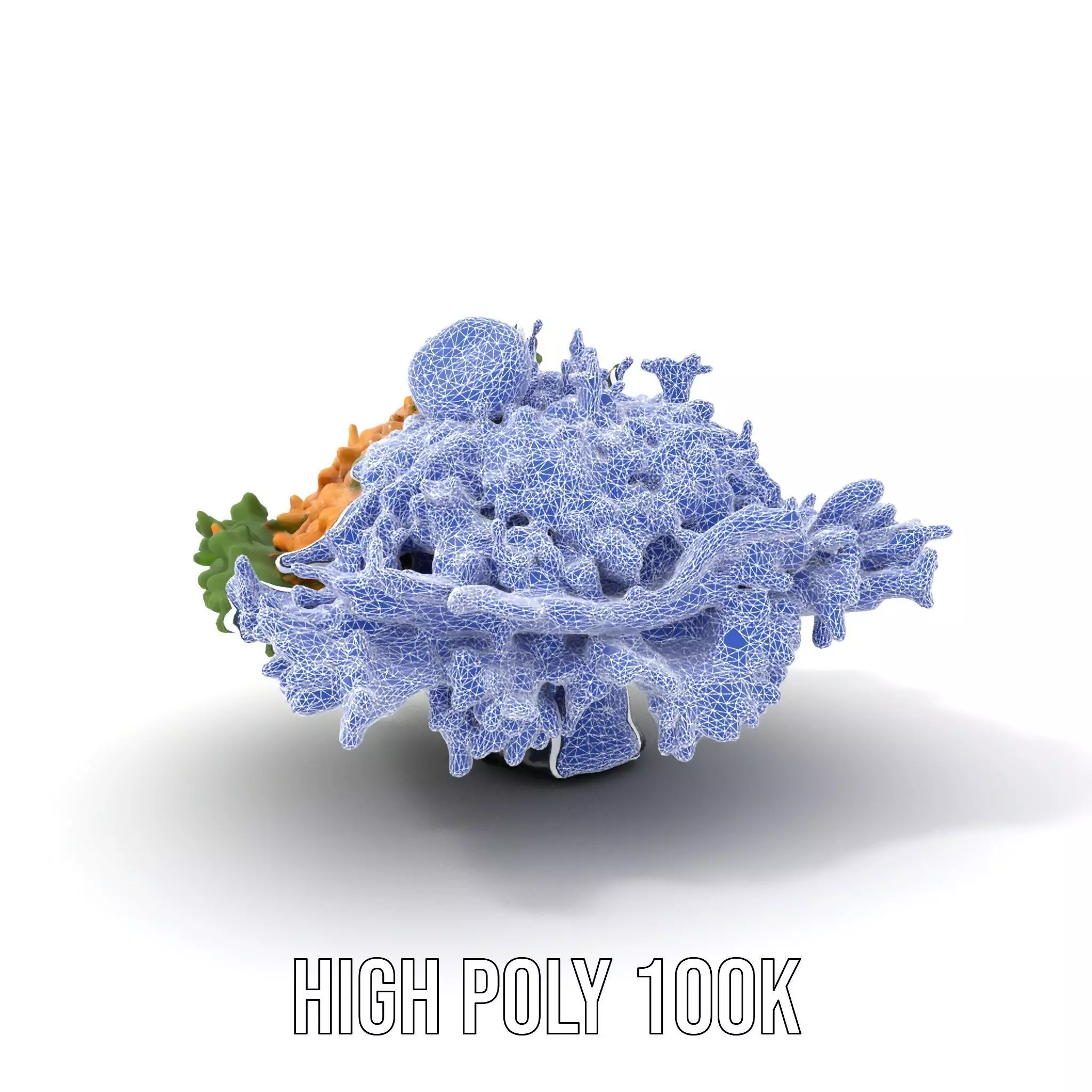 Fresh Chicken Salad model pack Low-poly 3D model_20