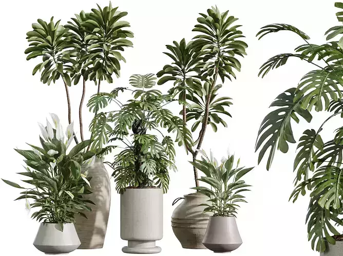 AV Indoor Plants Set 329 Euphorbia Spathiphyllum Lily