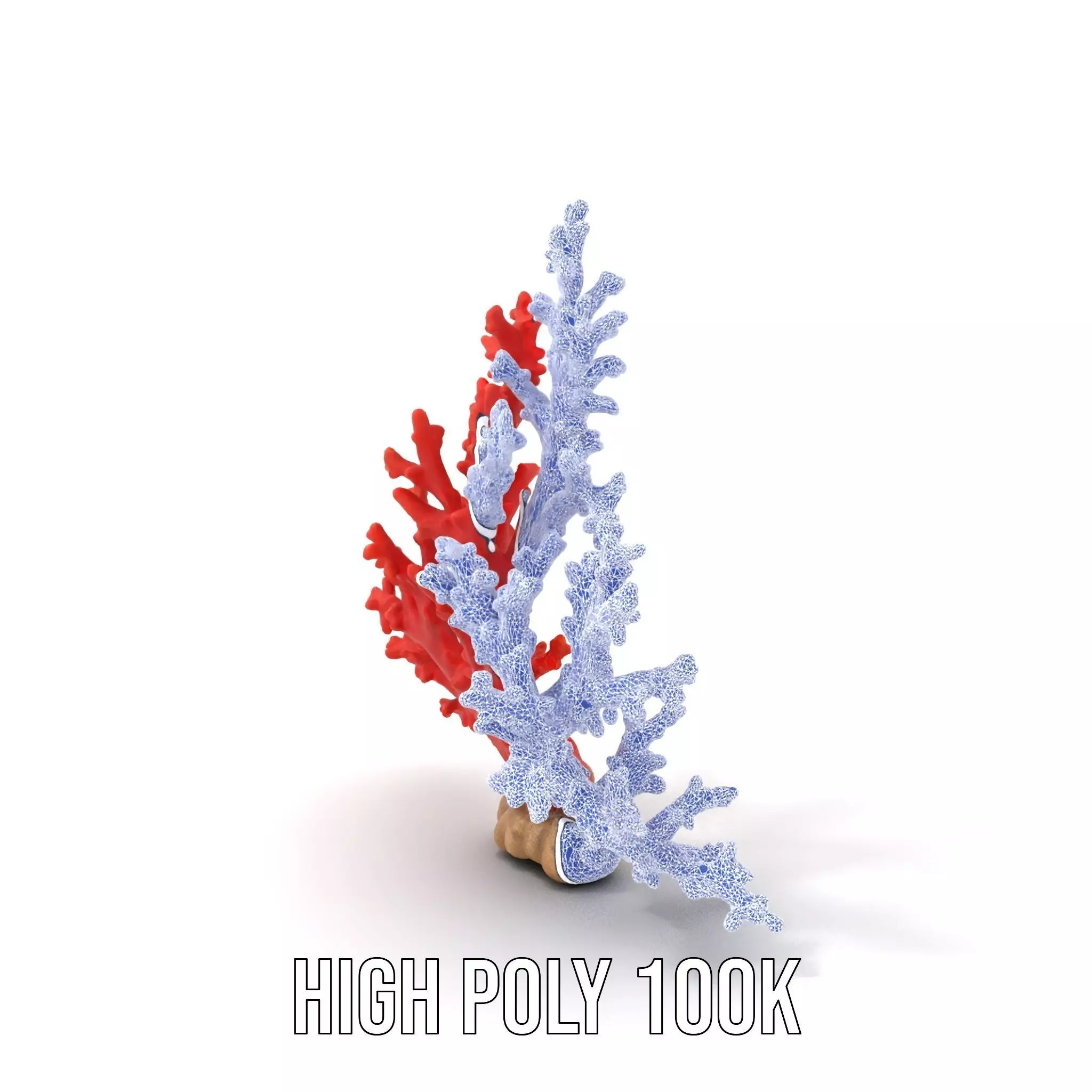 Vibrant Coral Reef model pack Low-poly 3D model_6