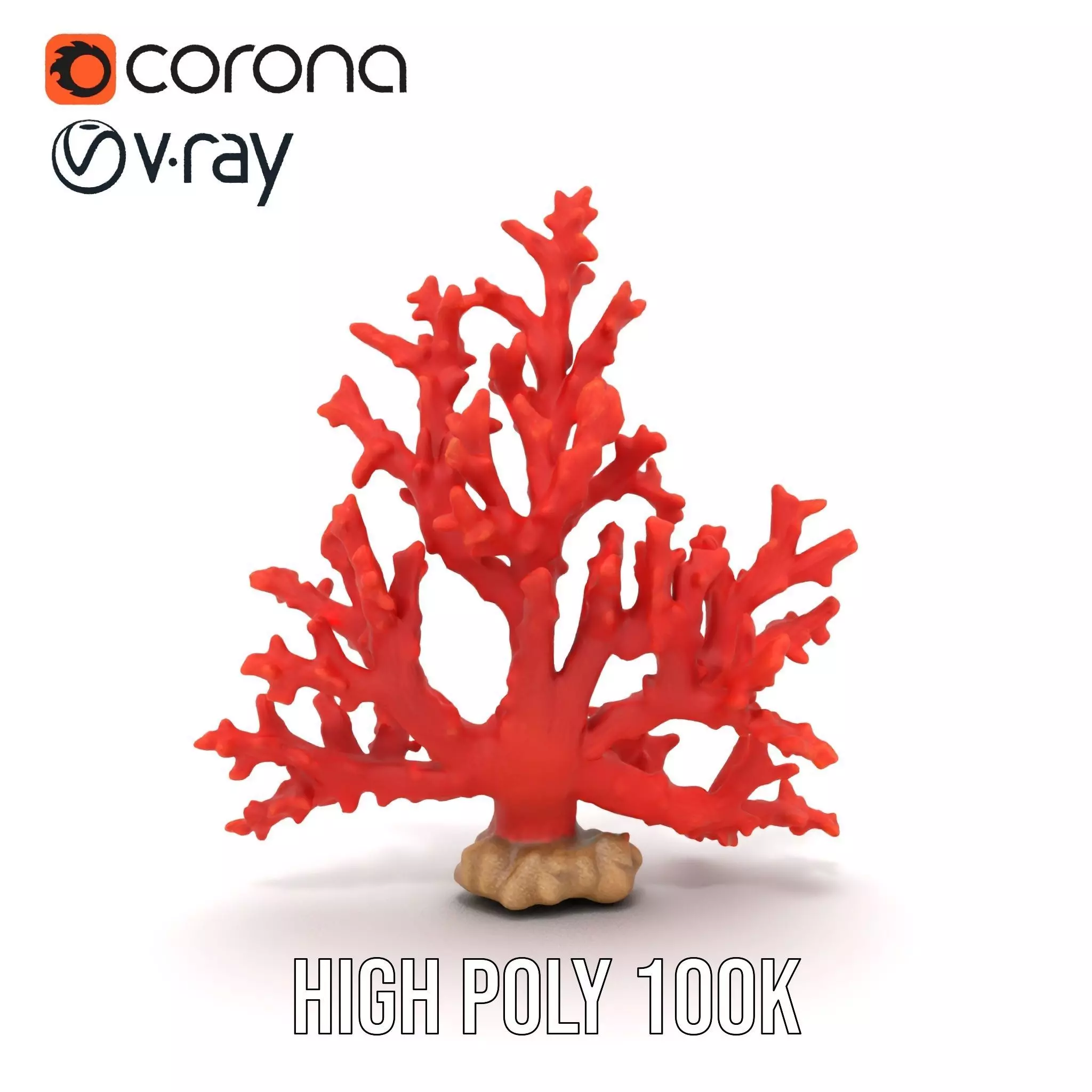 Vibrant Coral Reef model pack Low-poly 3D model_24
