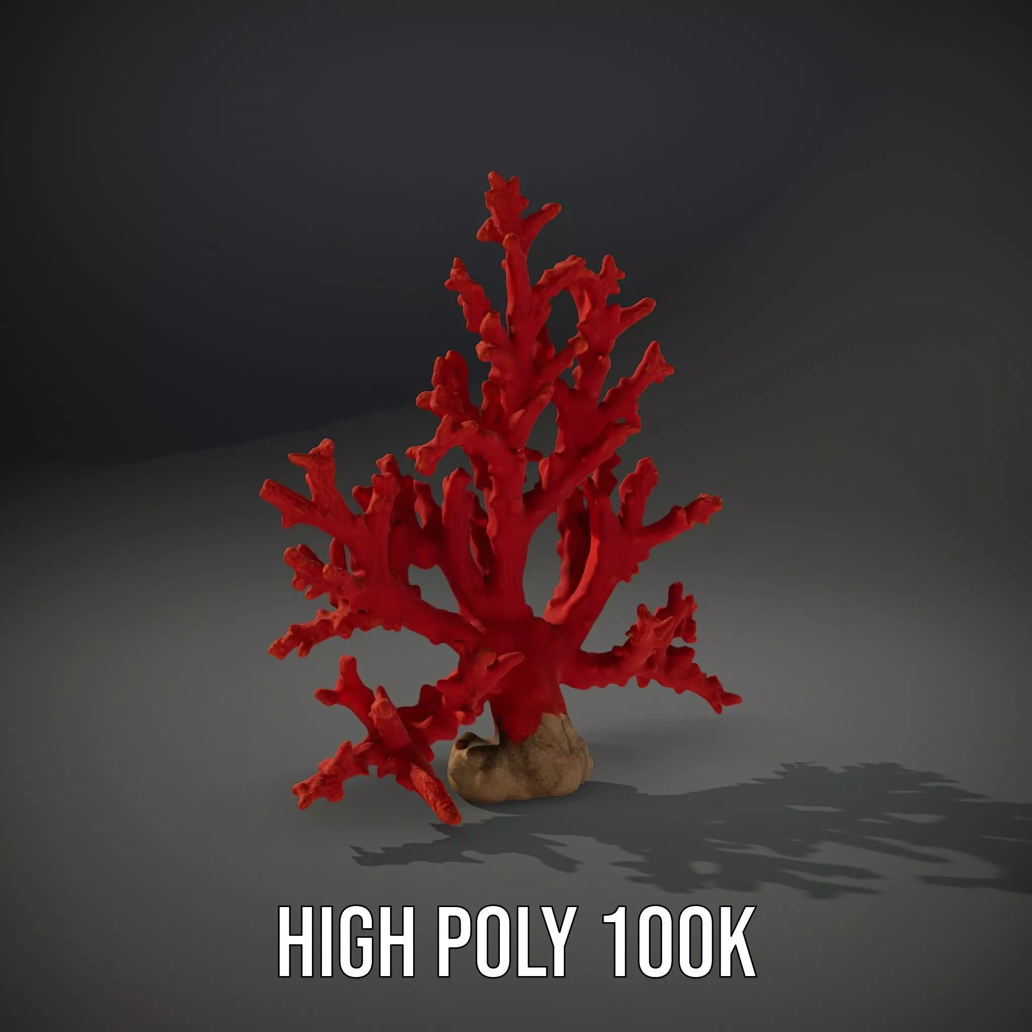 Vibrant Coral Reef model pack Low-poly 3D model_9