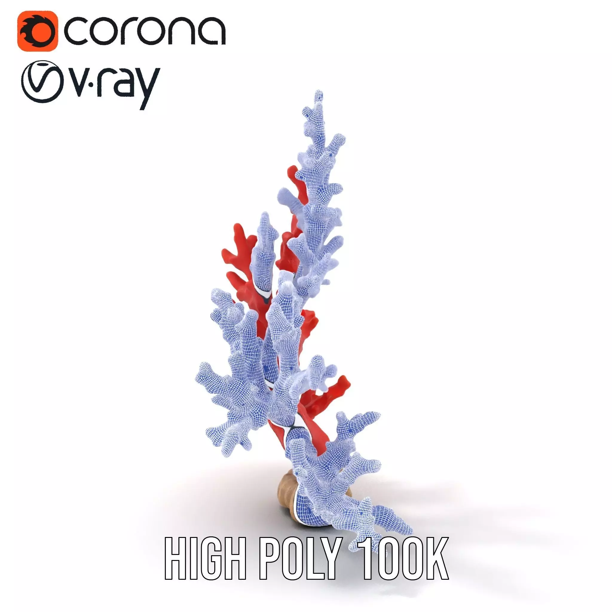 Vibrant Coral Reef model pack Low-poly 3D model_32