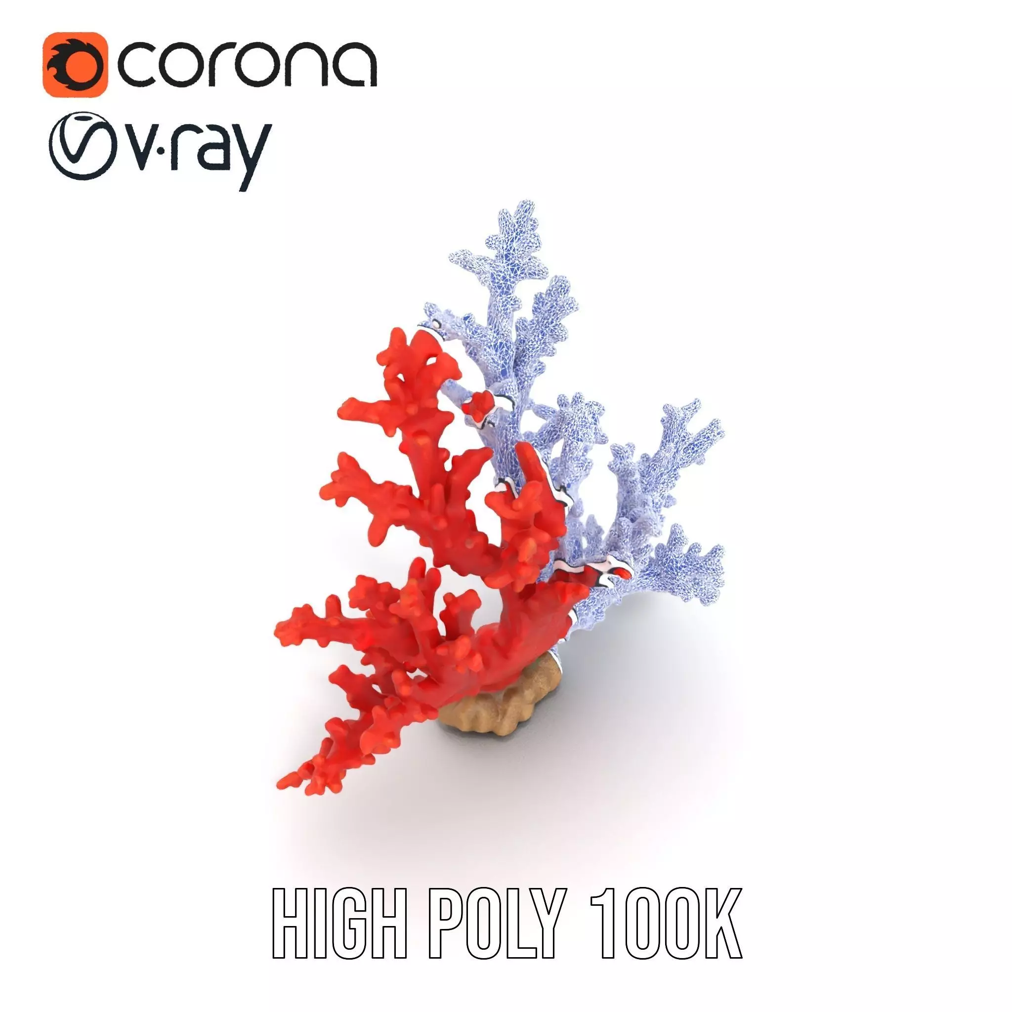 Vibrant Coral Reef model pack Low-poly 3D model_22