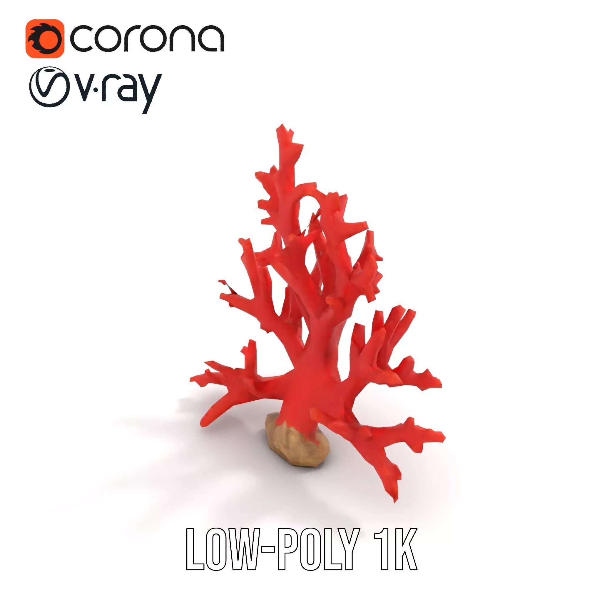 Vibrant Coral Reef model pack Low-poly 3D model_26