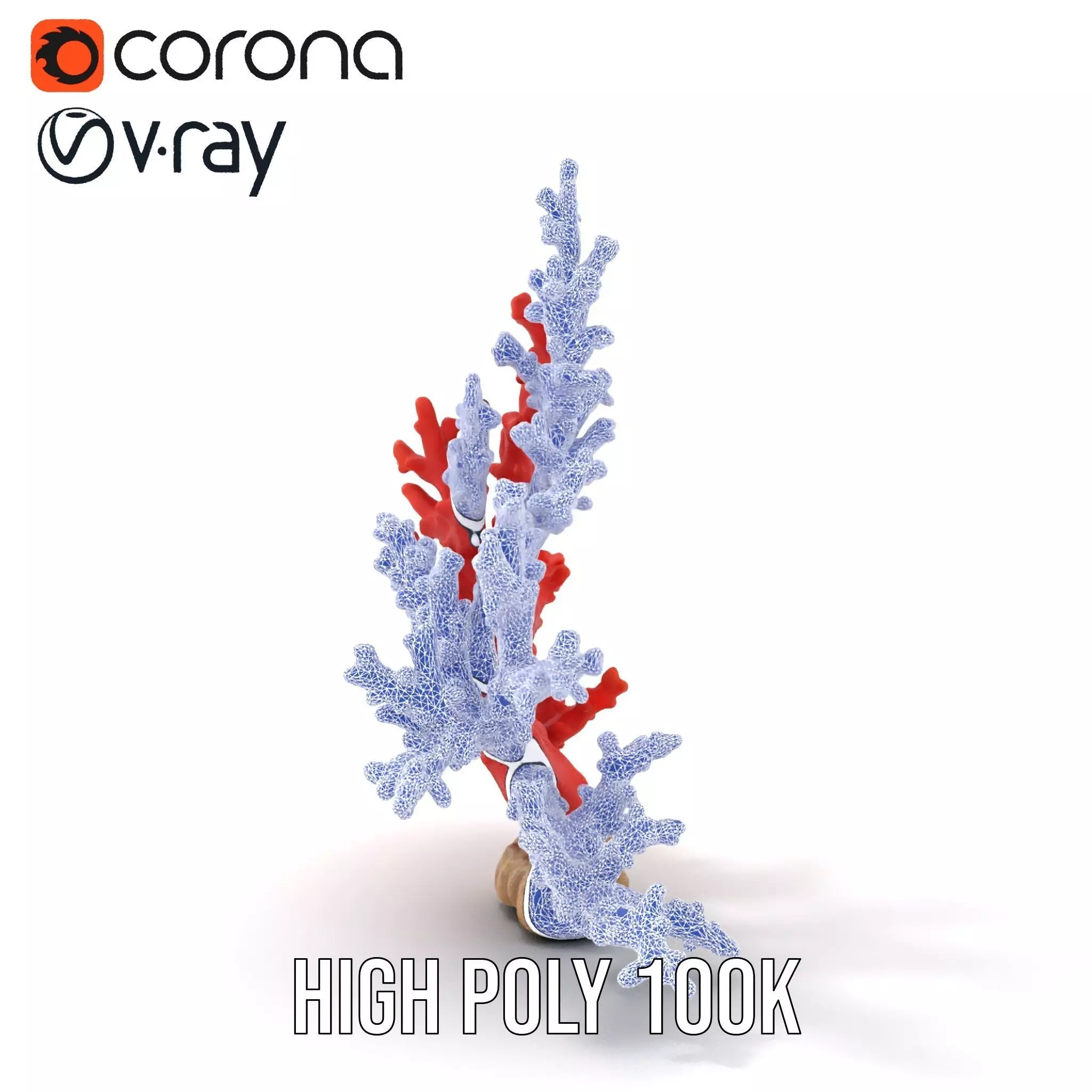 Vibrant Coral Reef model pack Low-poly 3D model_30