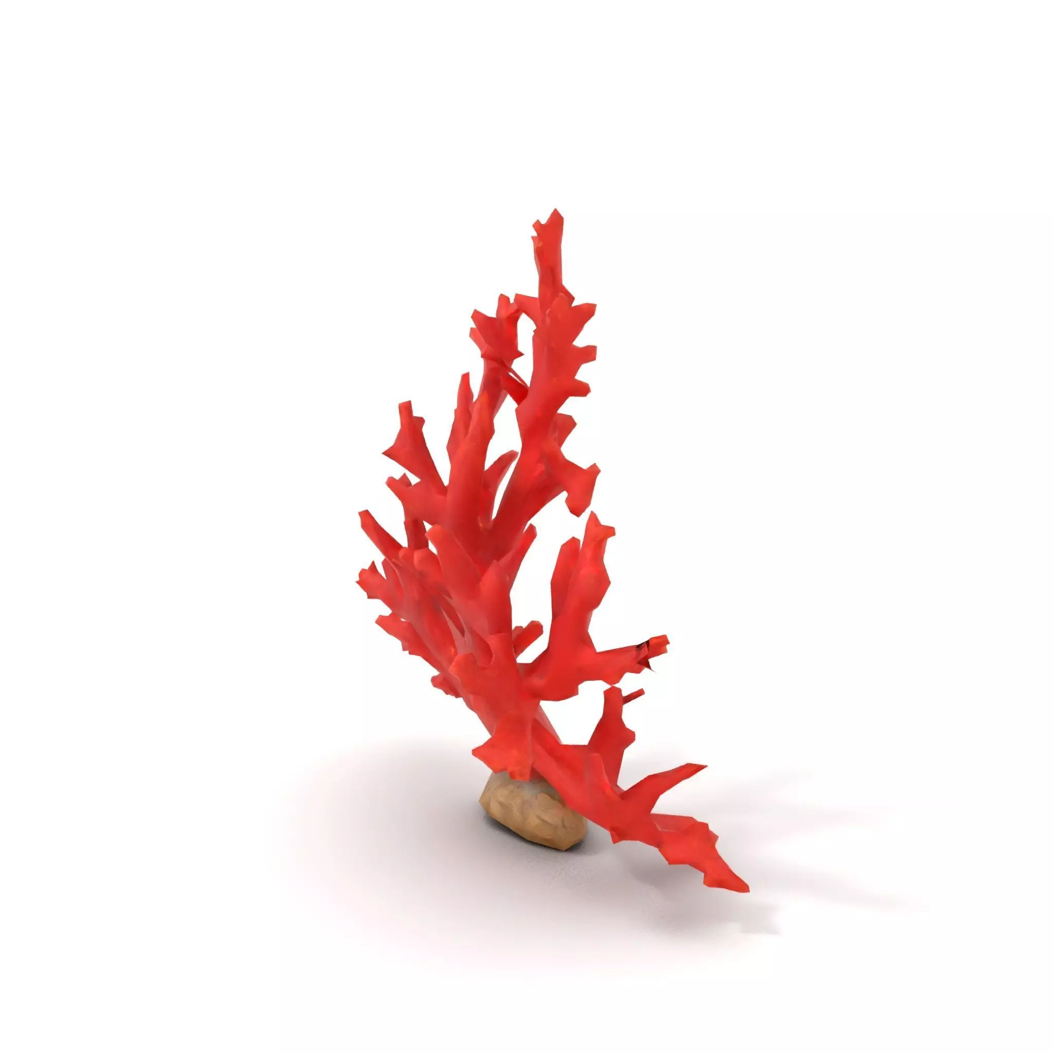 Vibrant Coral Reef model pack Low-poly 3D model_8