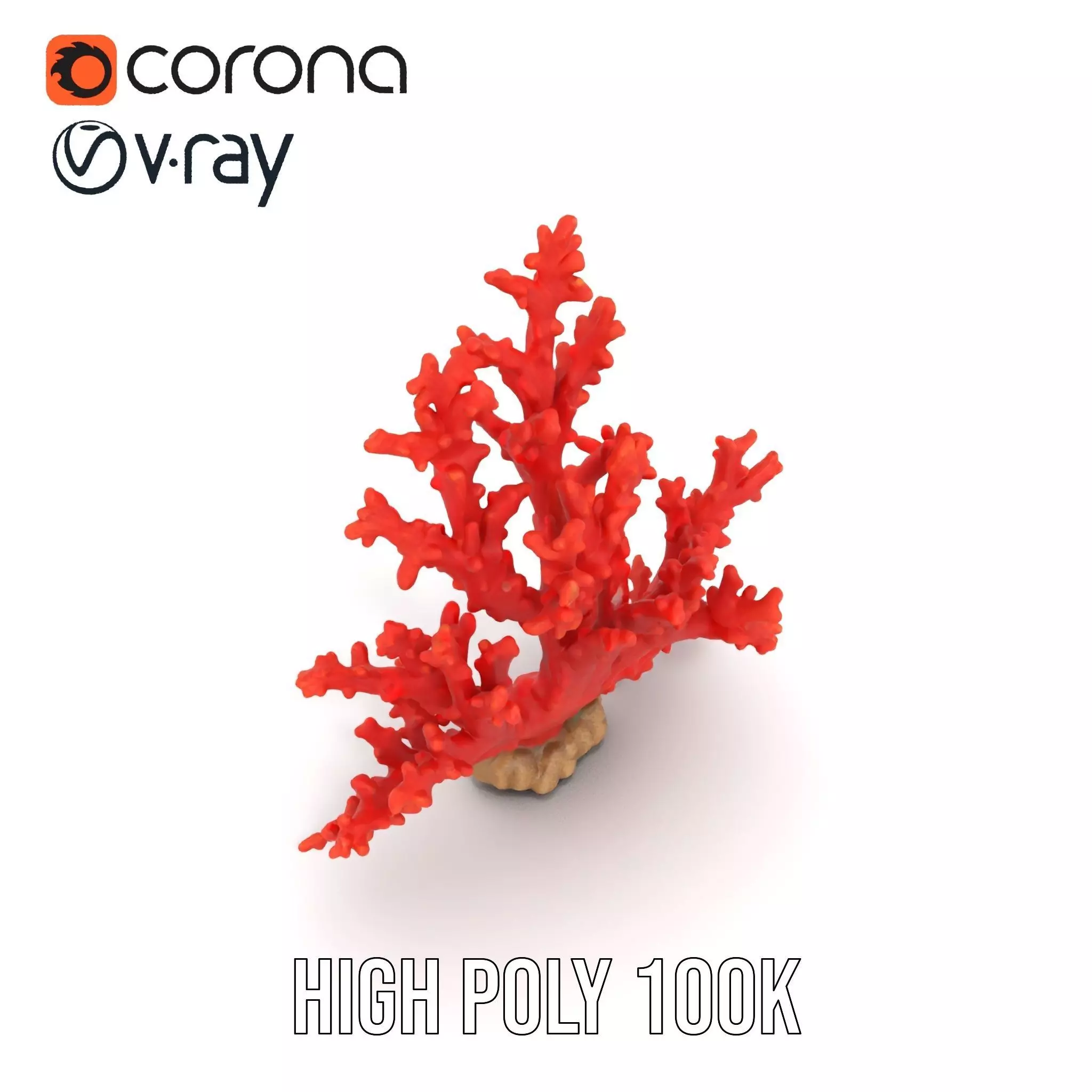 Vibrant Coral Reef model pack Low-poly 3D model_14