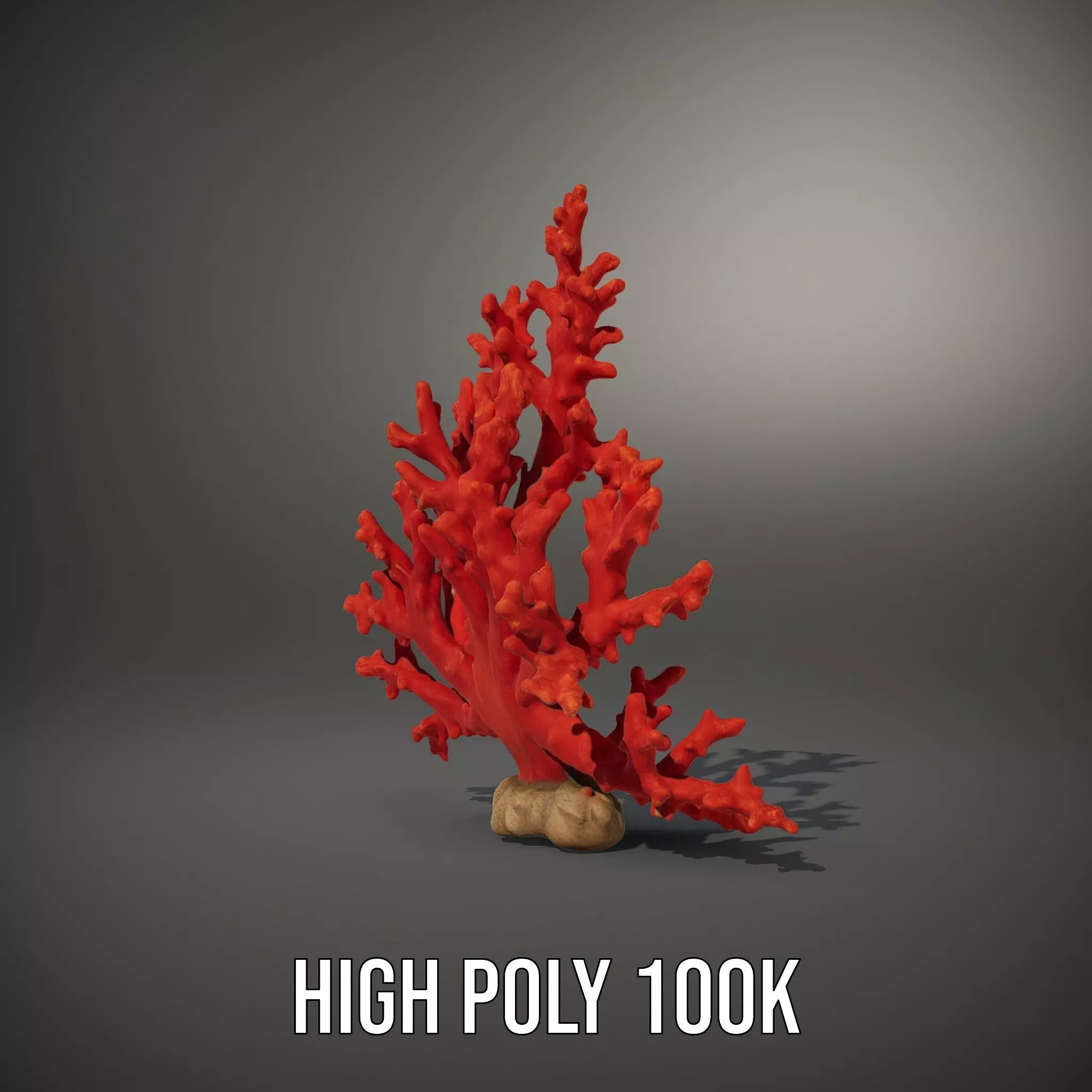 Vibrant Coral Reef model pack Low-poly 3D model_11