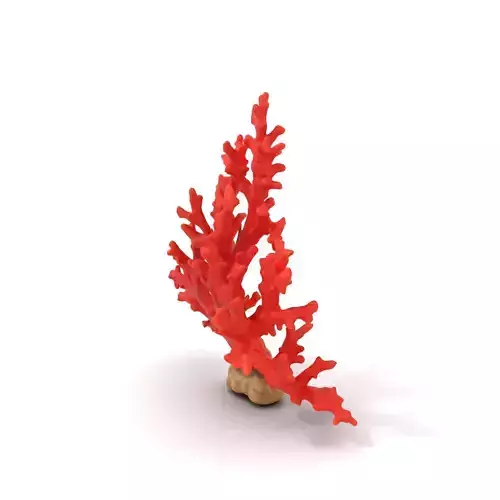 Vibrant Coral Reef model pack Low-poly 3D model