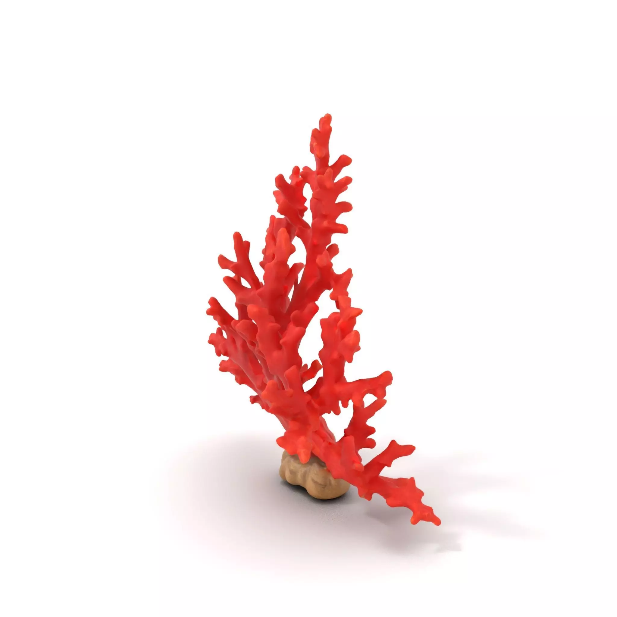 Vibrant Coral Reef model pack Low-poly 3D model_0