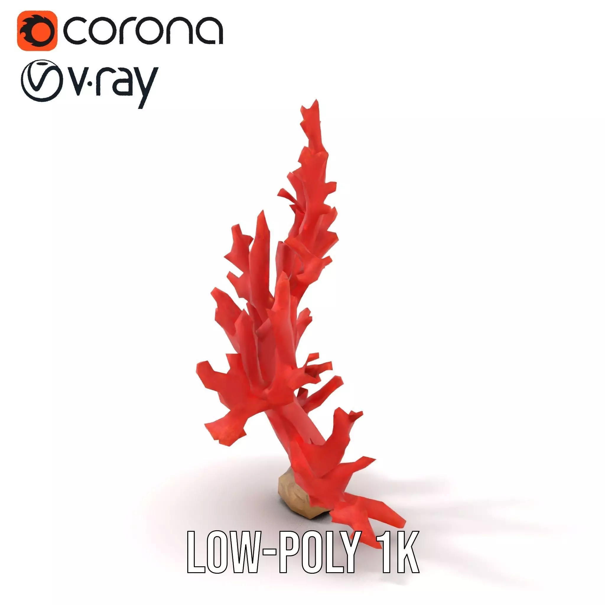 Vibrant Coral Reef model pack Low-poly 3D model_10