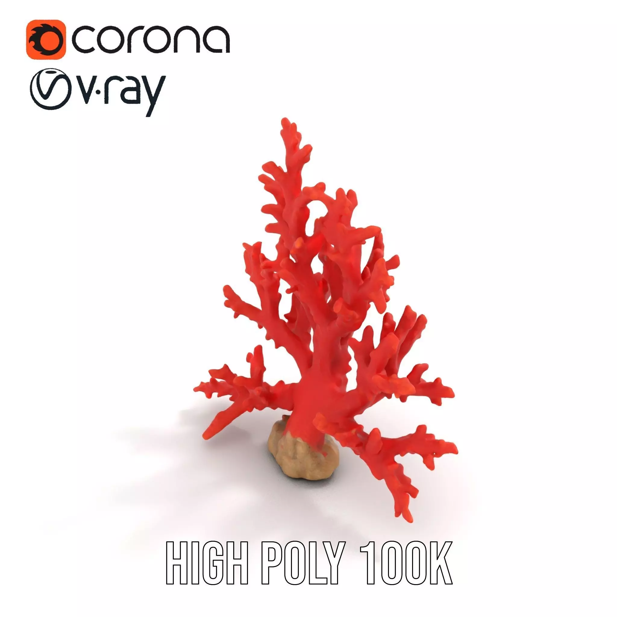 Vibrant Coral Reef model pack Low-poly 3D model_21