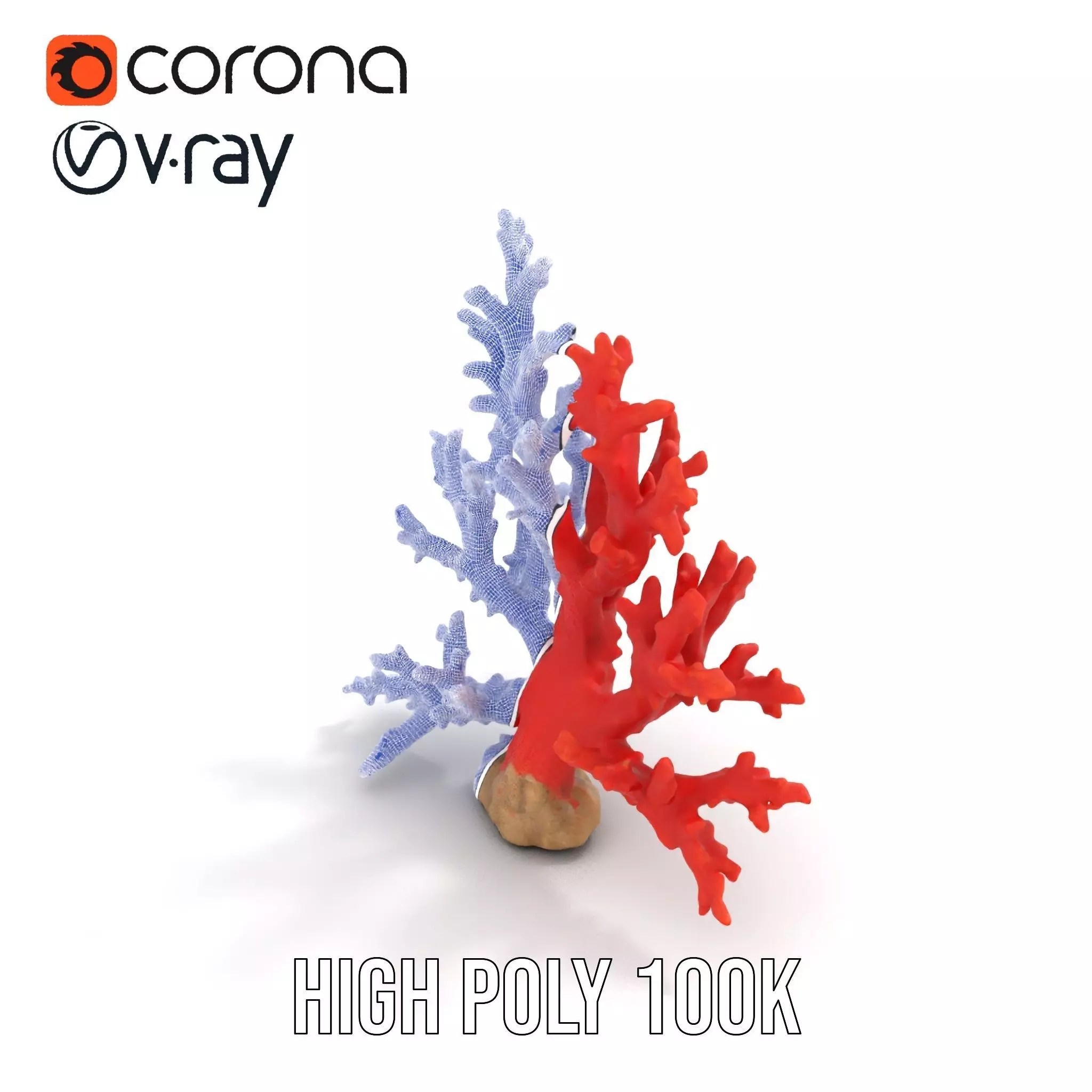 Vibrant Coral Reef model pack Low-poly 3D model_35
