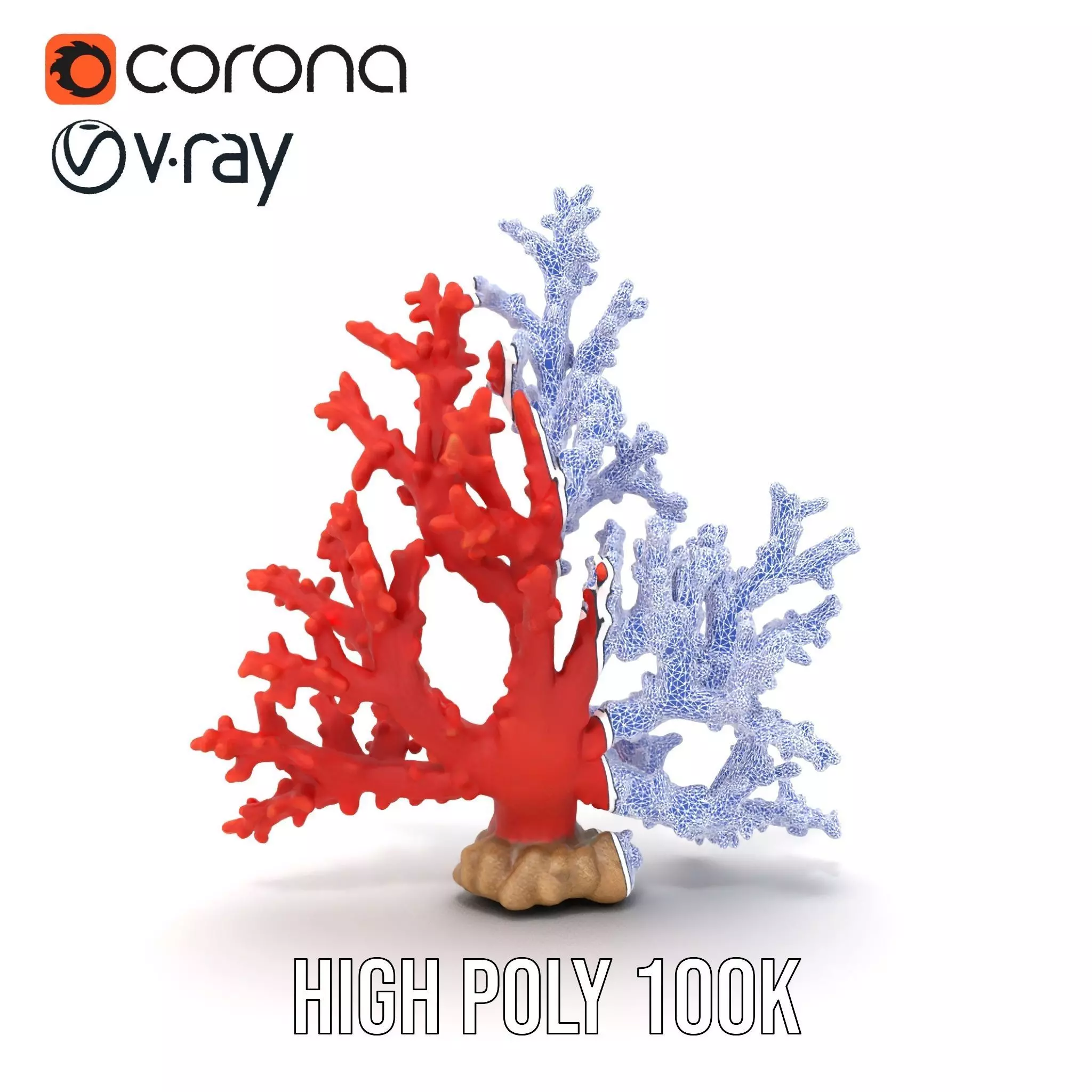 Vibrant Coral Reef model pack Low-poly 3D model_27